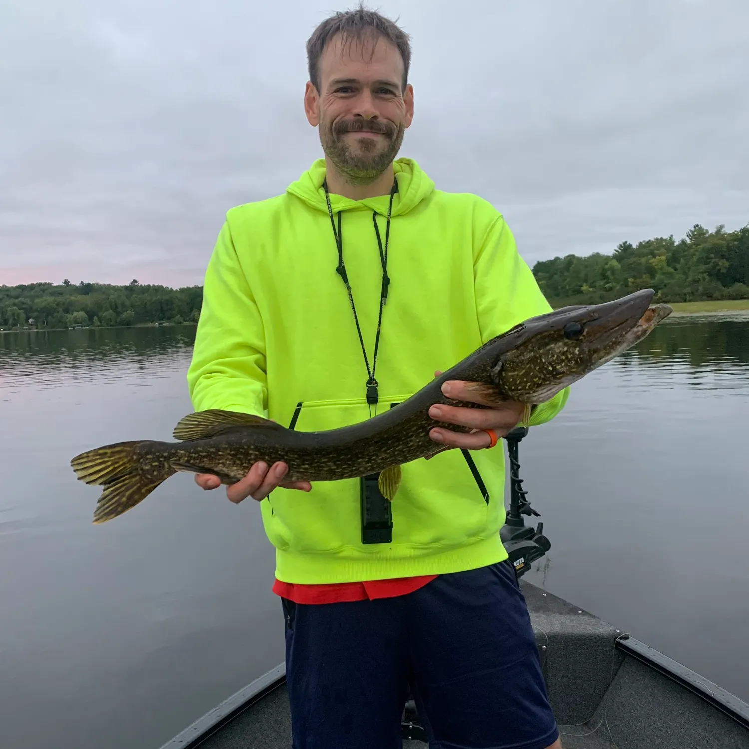 Northern pike caught on Fishbrain