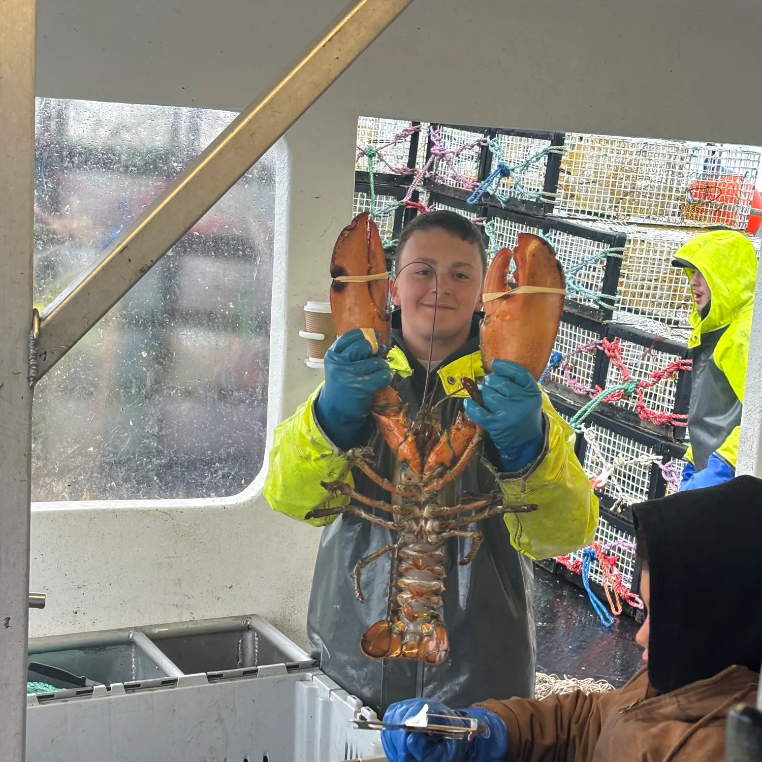 The most recent American lobster catches on Fishbrain