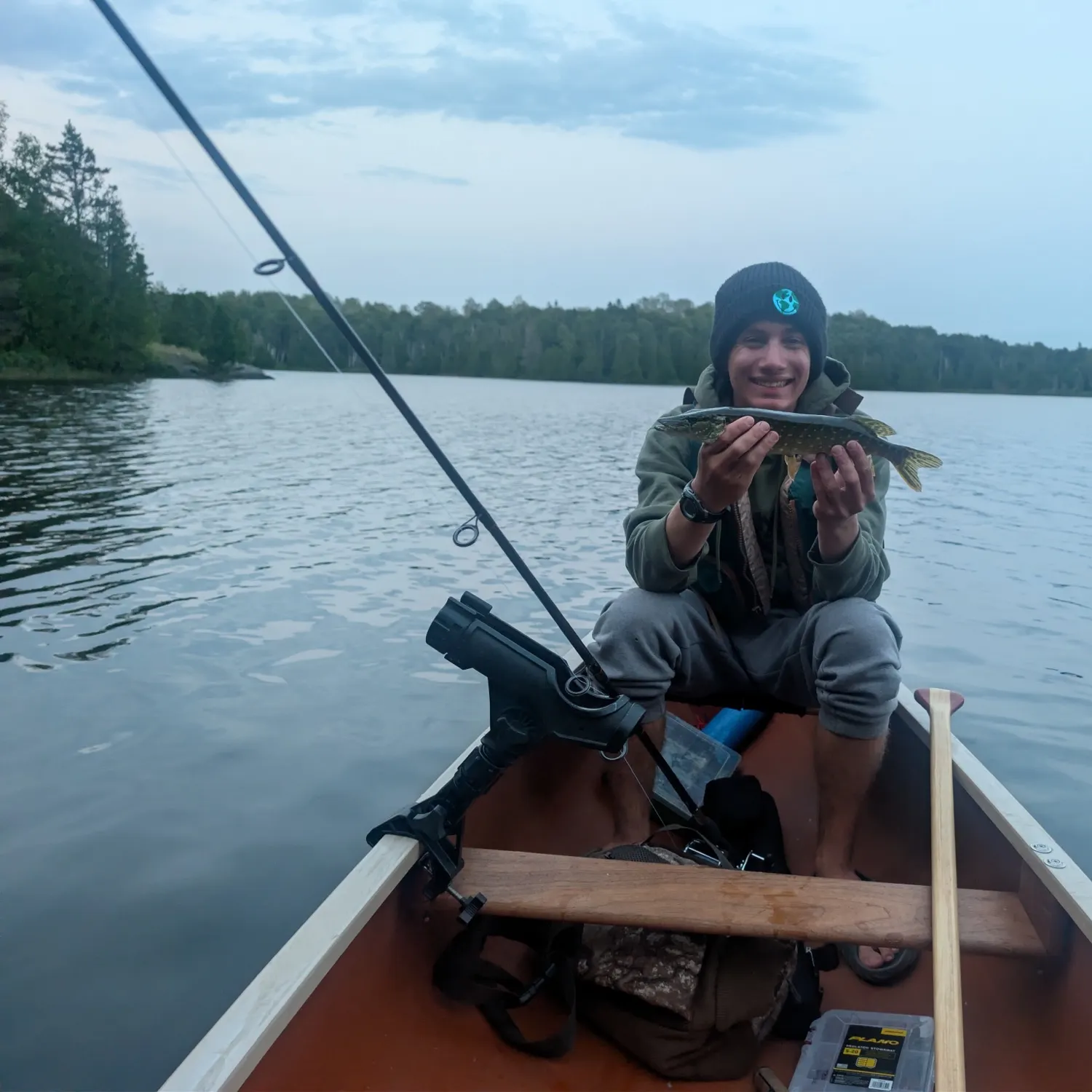 Northern pike caught on Fishbrain