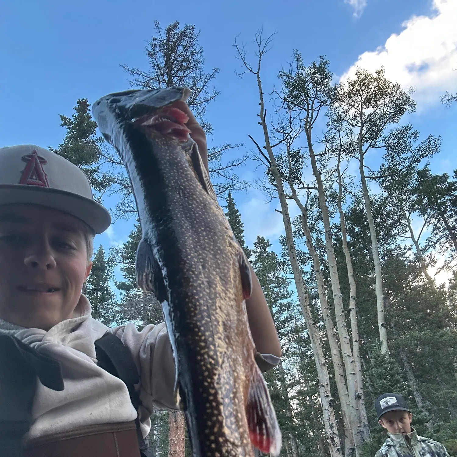 The most recent Splake catches on Fishbrain