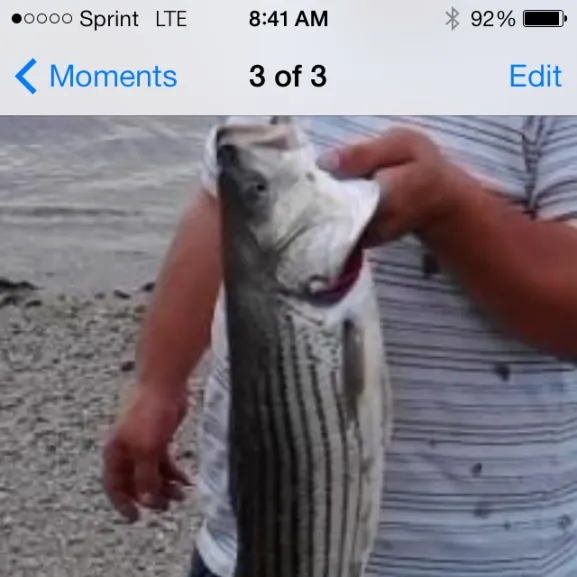 recently logged catches