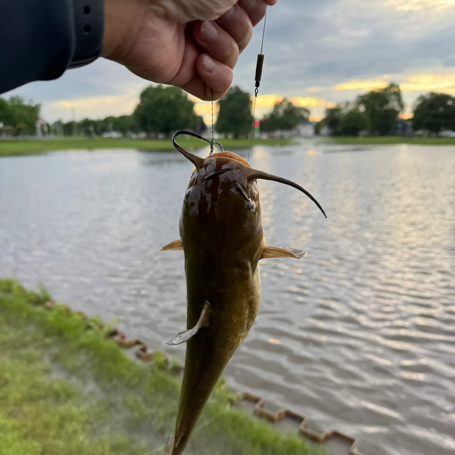 catch