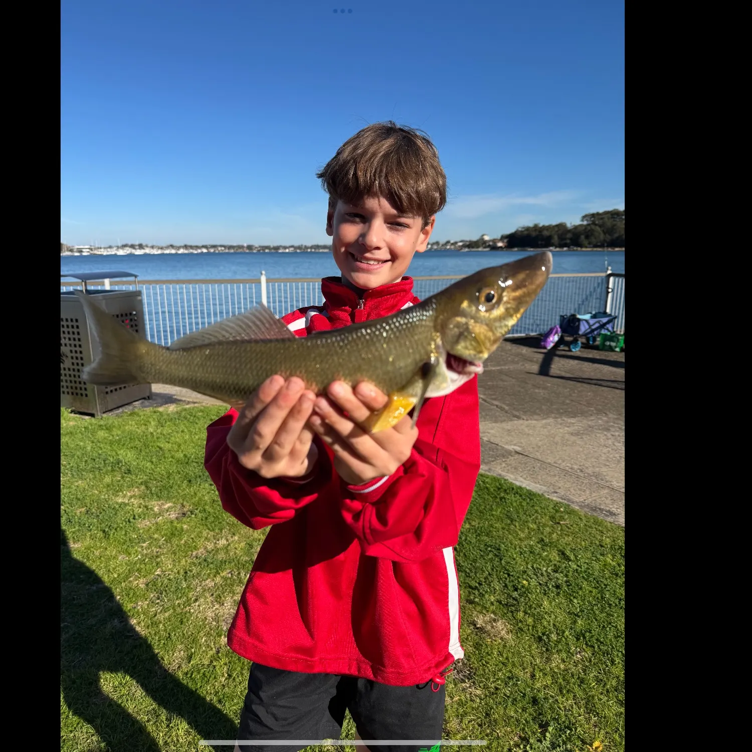 The most recent Sand sillago catches on Fishbrain