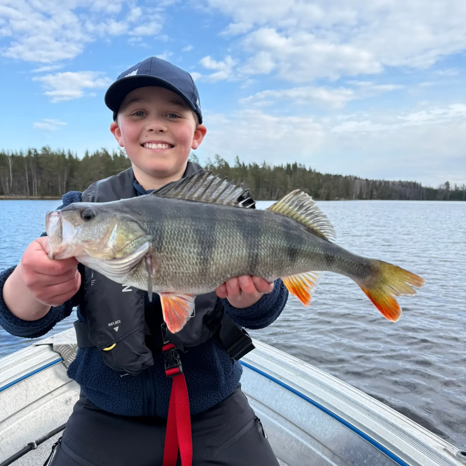 European perch caught on Fishbrain