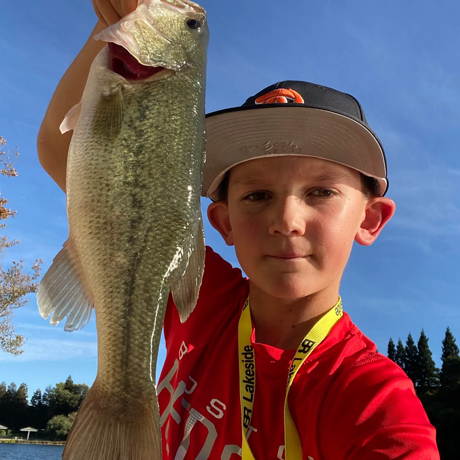Largemouth bass caught on Fishbrain