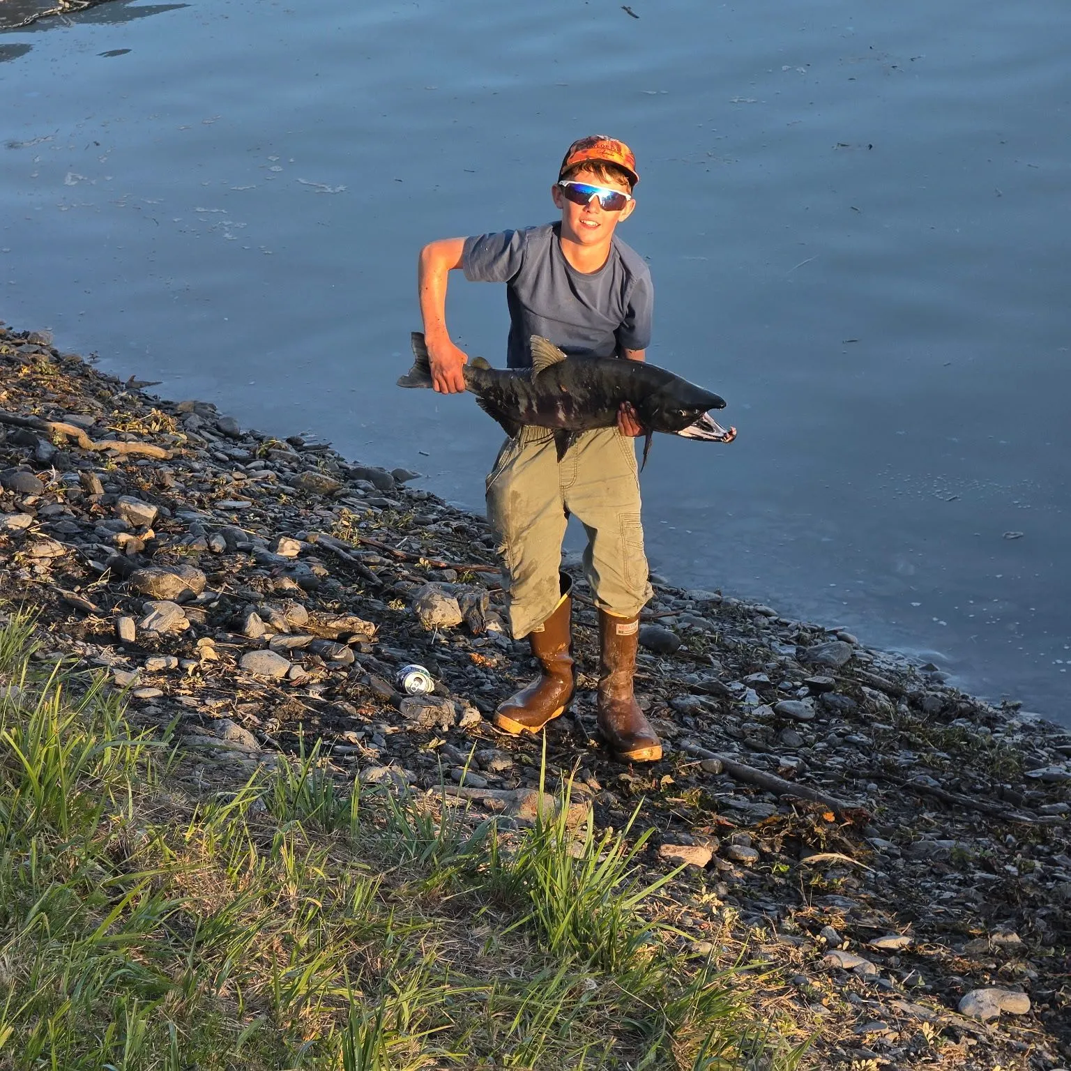 Chum salmon caught on Fishbrain