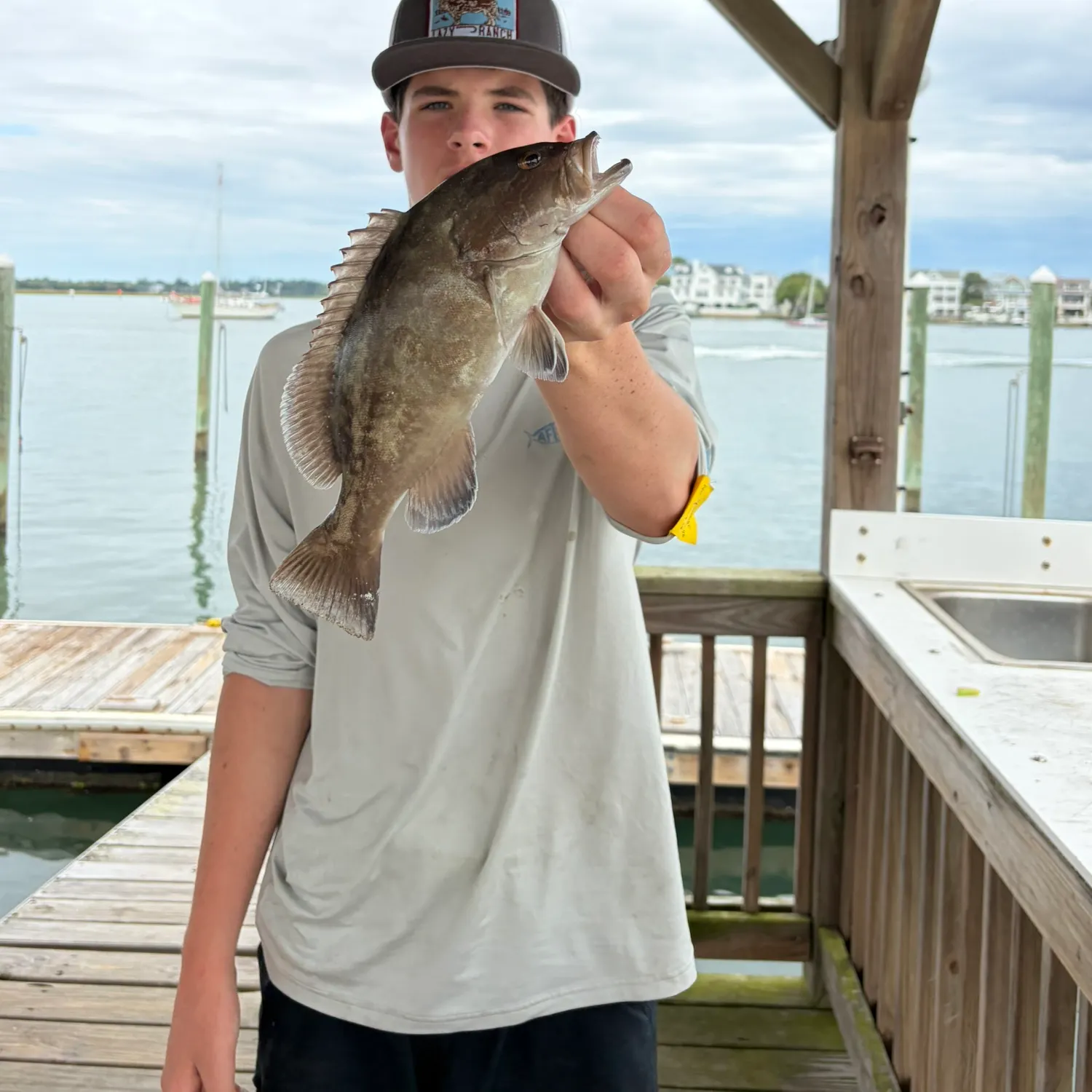 The most recent Gag grouper catches on Fishbrain