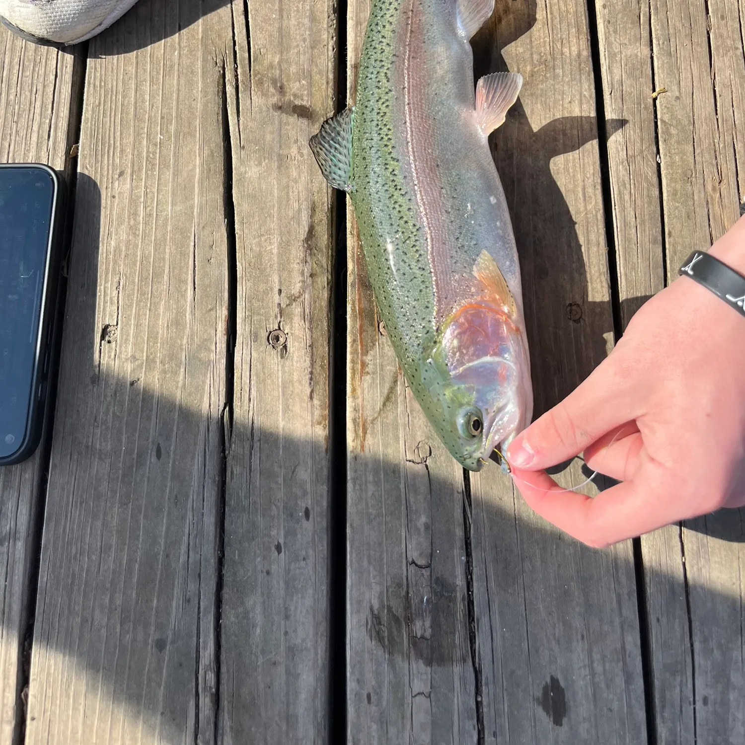 recently logged catches