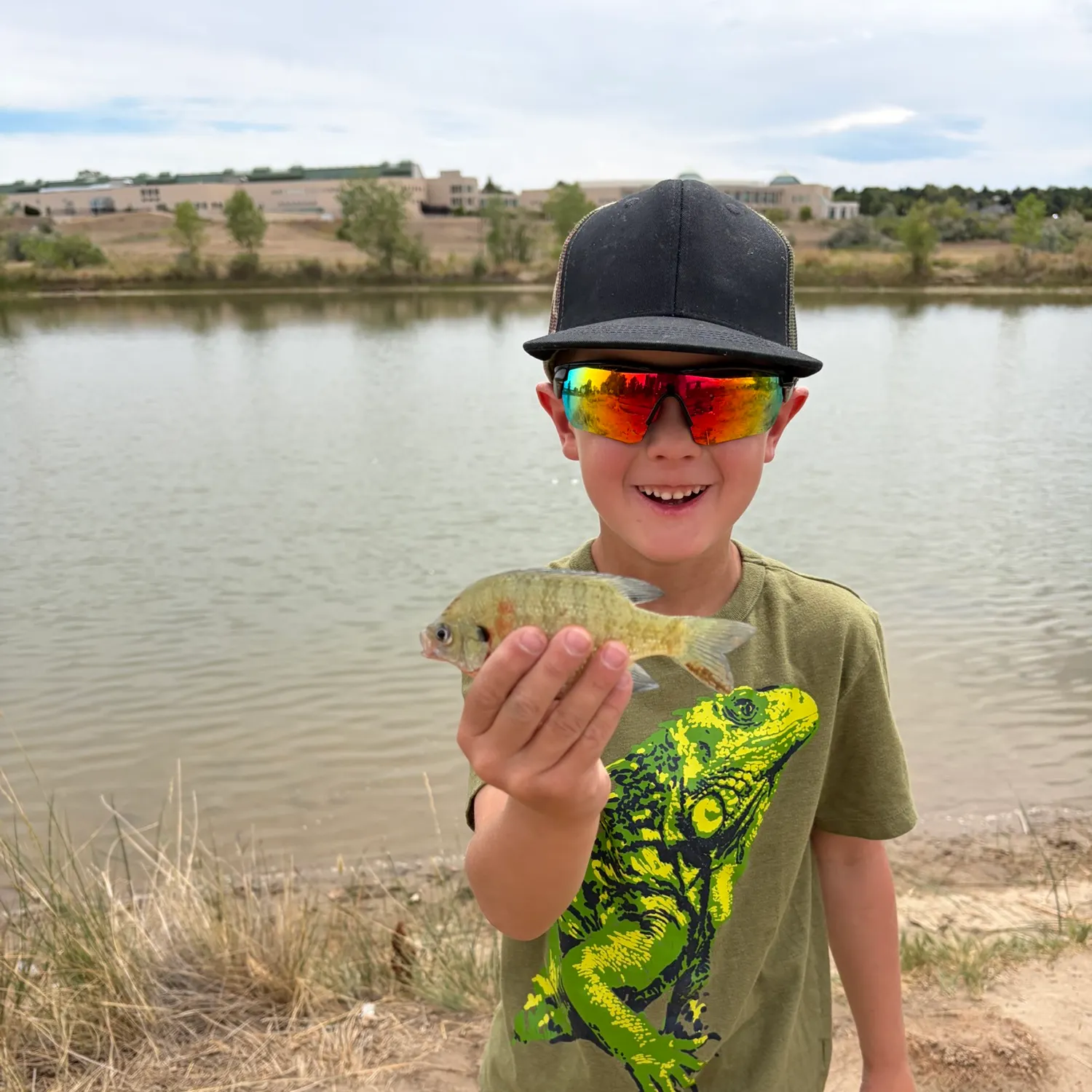 Bluegill caught on Fishbrain