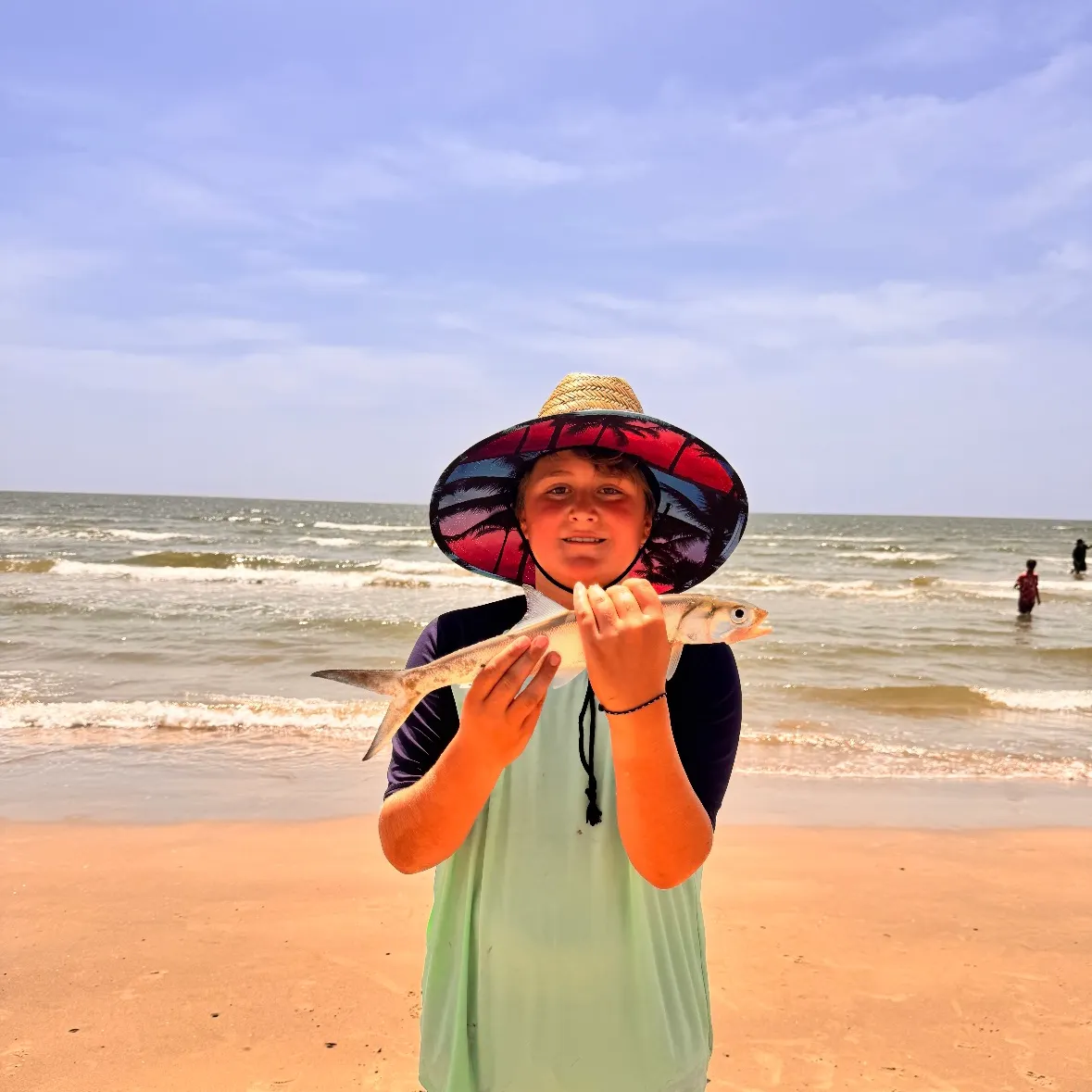 The most recent Ladyfish catches on Fishbrain