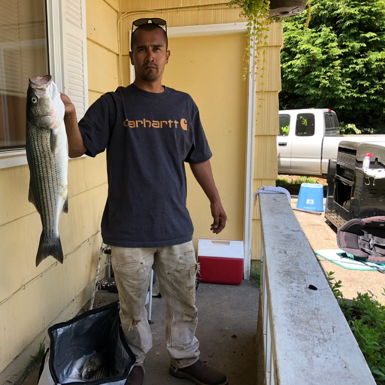 recently logged catches