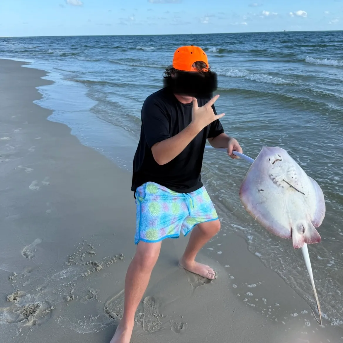 The most recent Southern stingray catches on Fishbrain