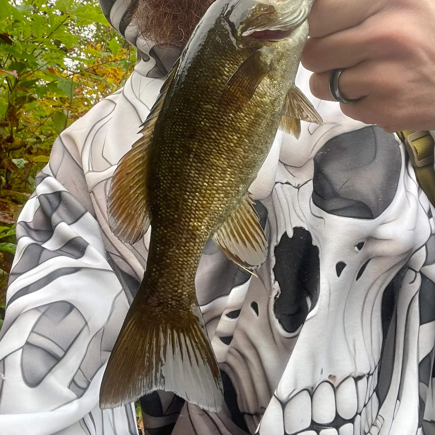 Smallmouth bass caught on Fishbrain