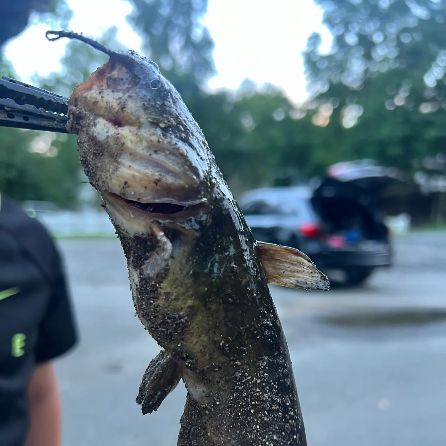 catch