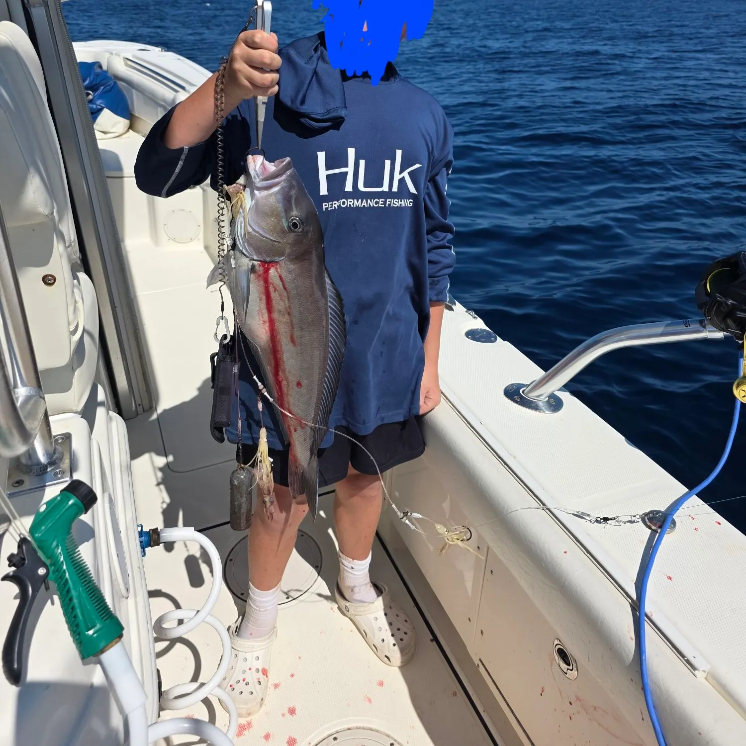 The most recent Great northern tilefish catches on Fishbrain