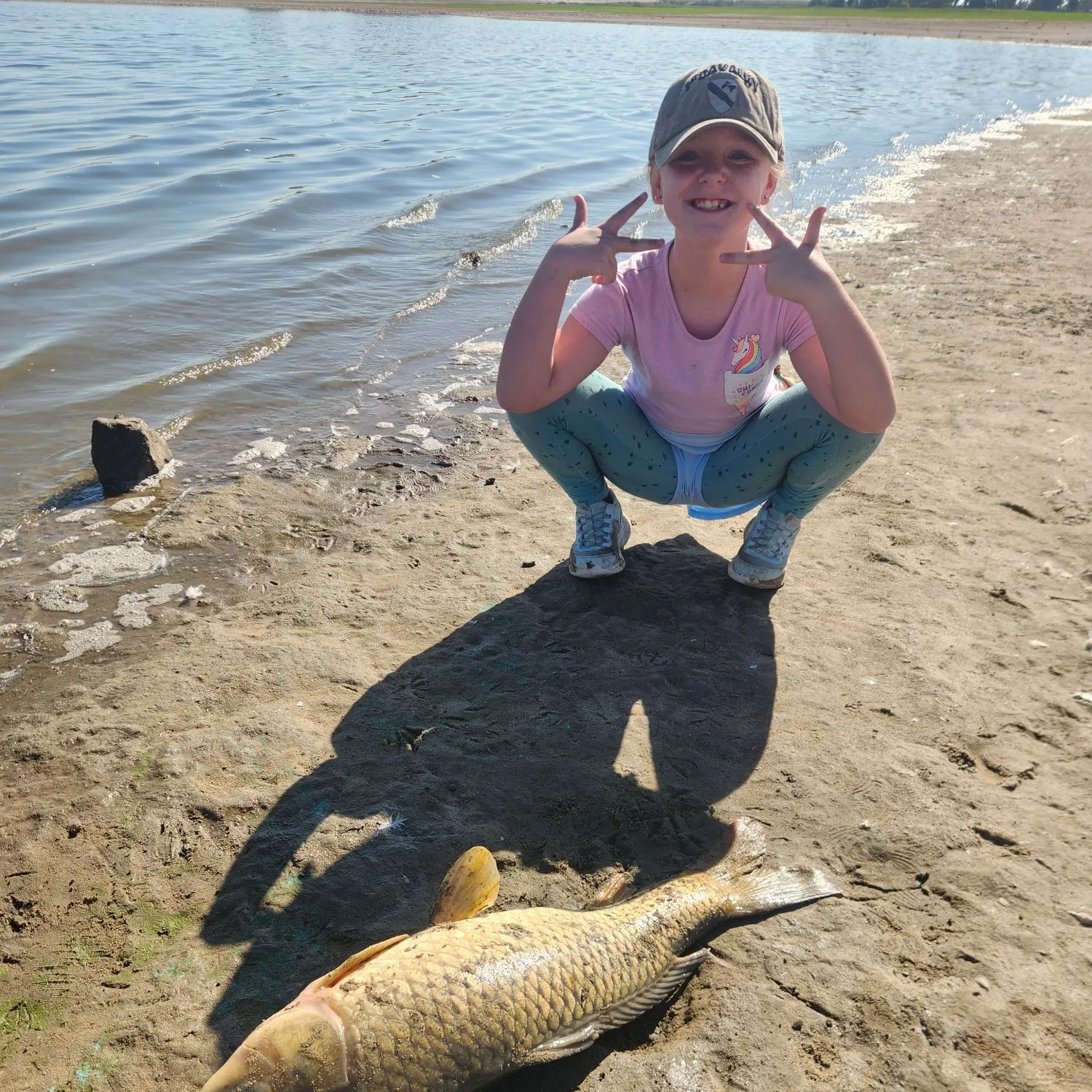 Common carp caught on Fishbrain