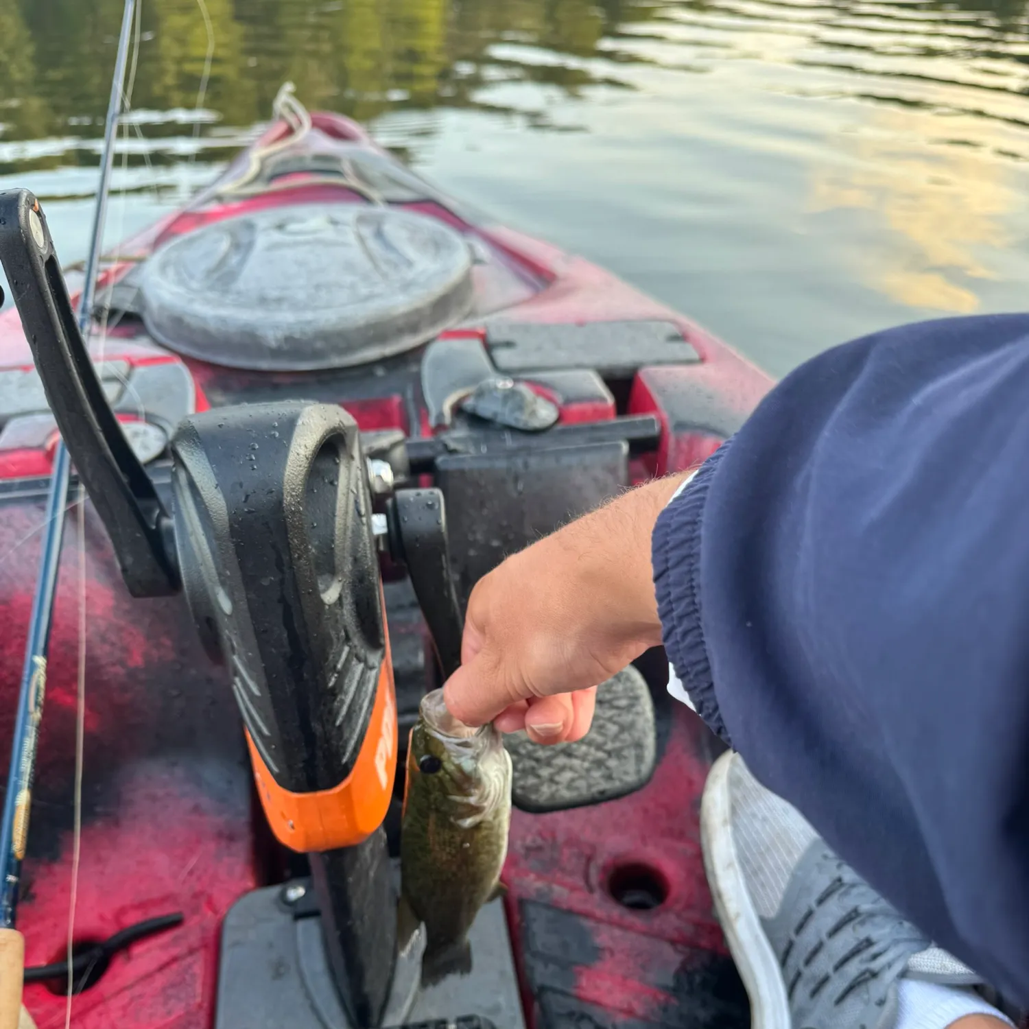 Smallmouth bass caught on Fishbrain