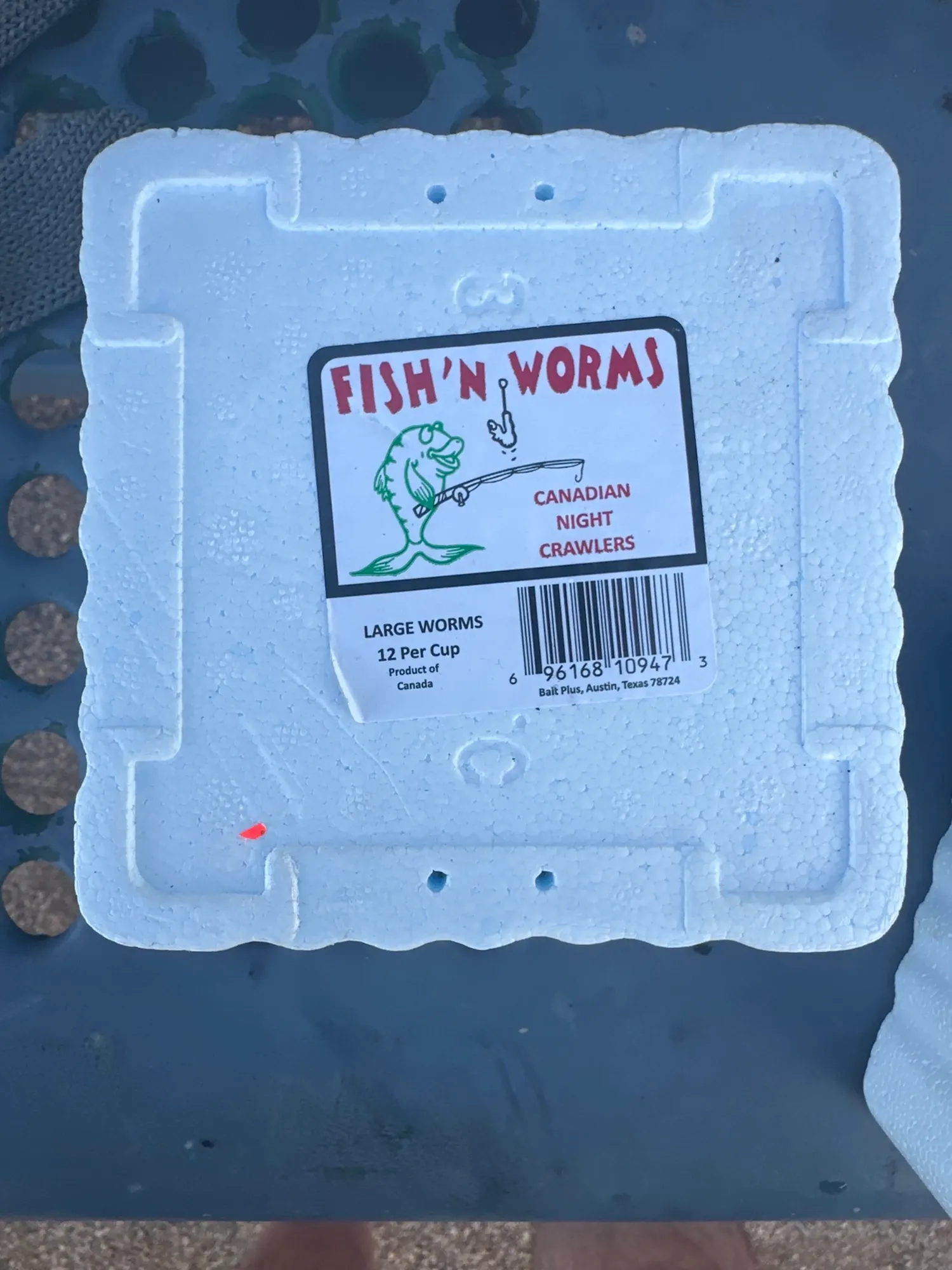 Worm