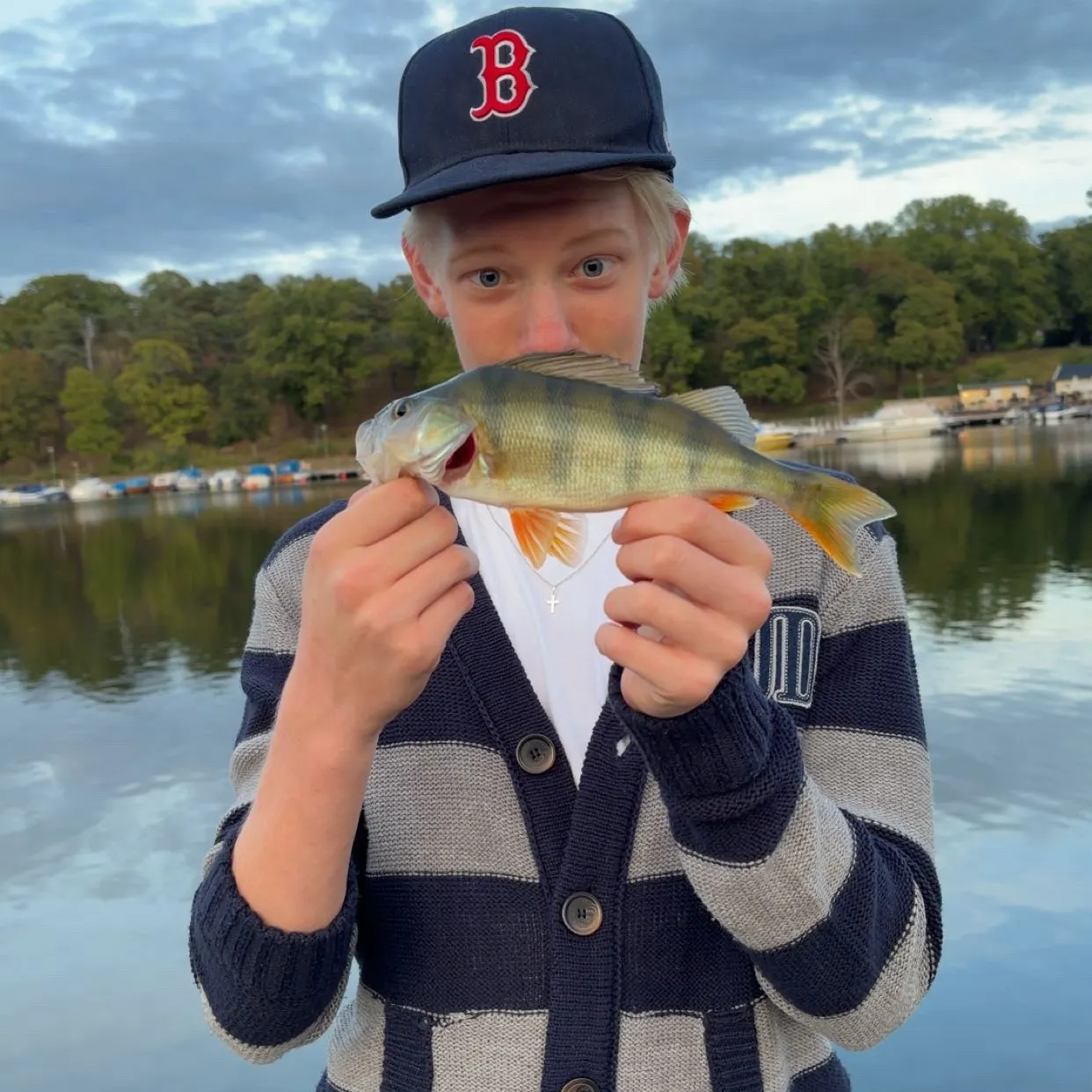 European perch caught on Fishbrain