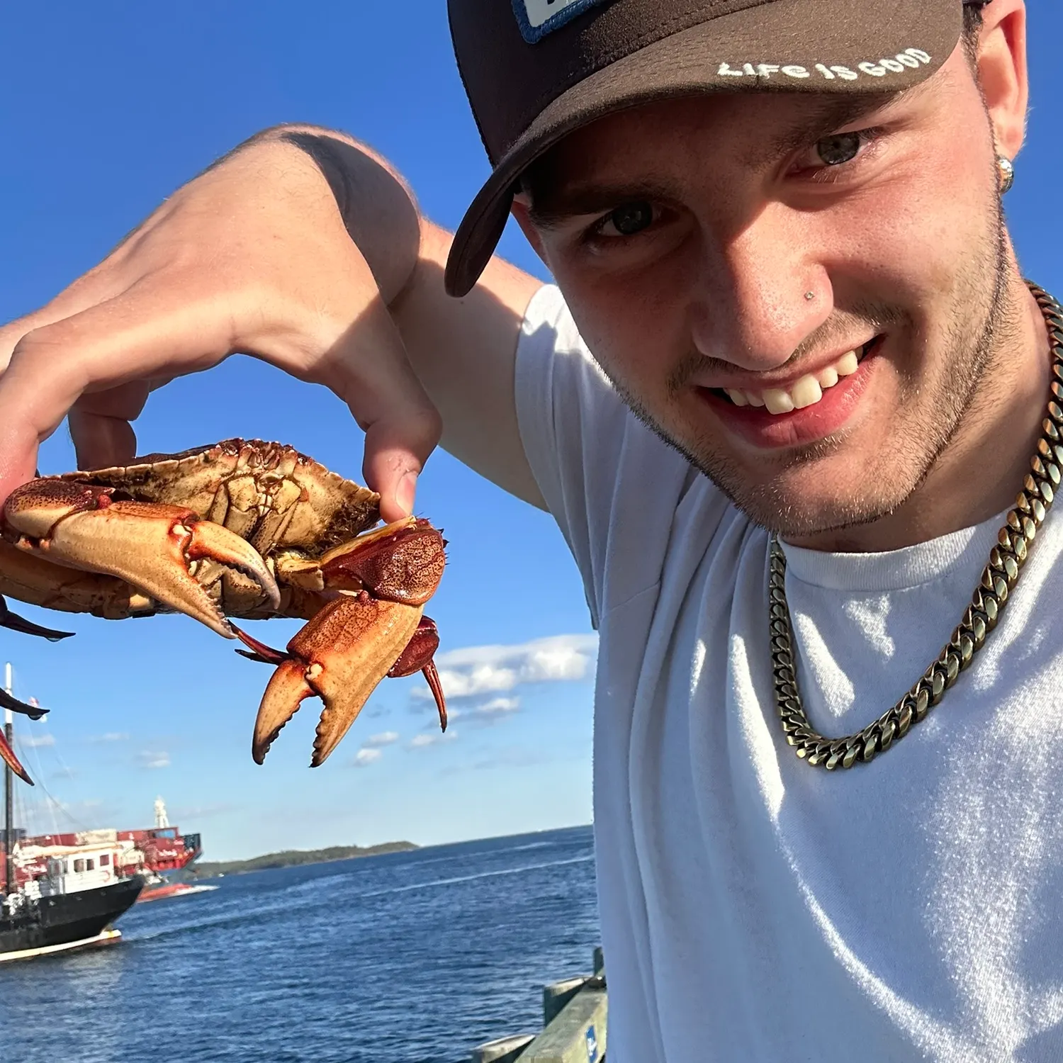 The most recent Jonah crab catches on Fishbrain
