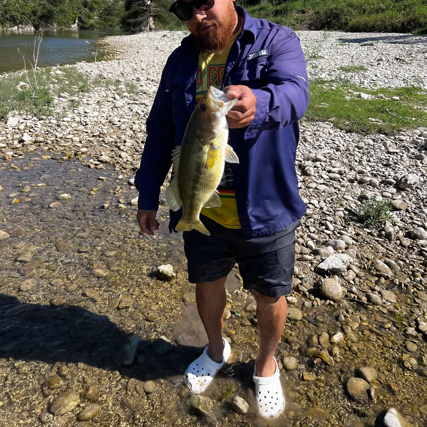 Guadalupe bass caught on Fishbrain