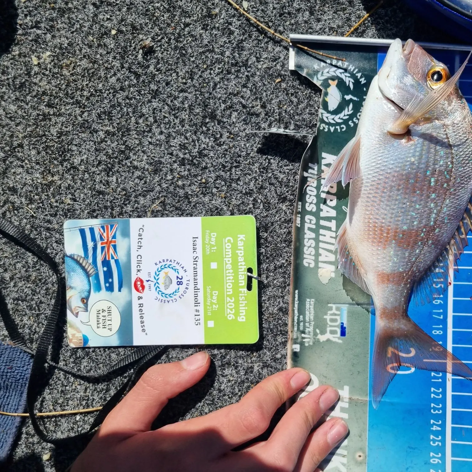 recently logged catches