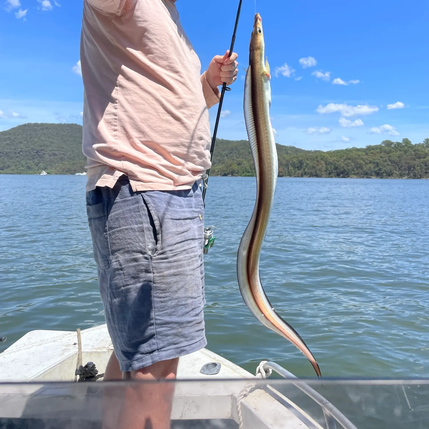 The most popular recent Daggertooth pike conger catch on Fishbrain