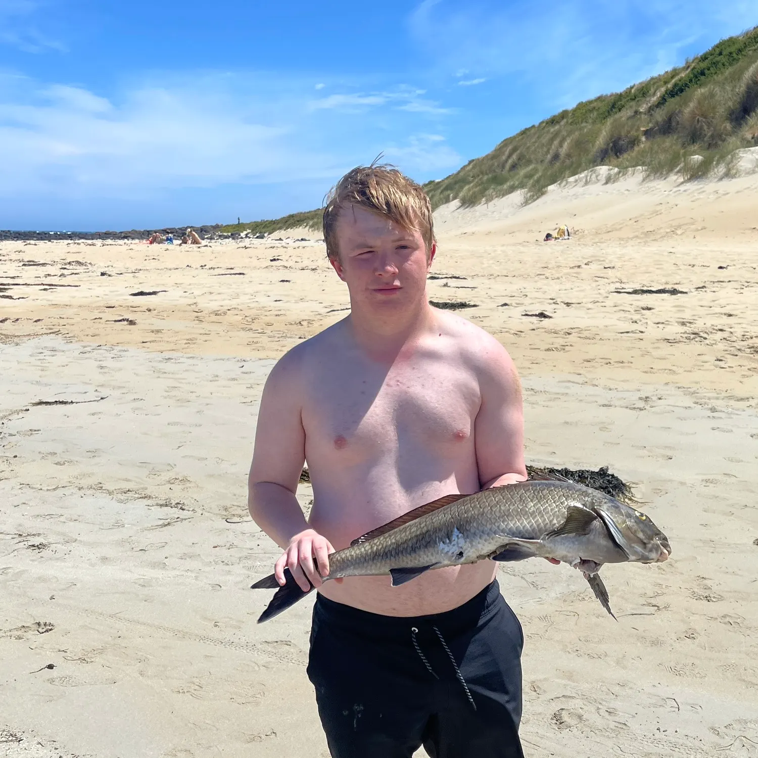 The most recent Dusky morwong catches on Fishbrain