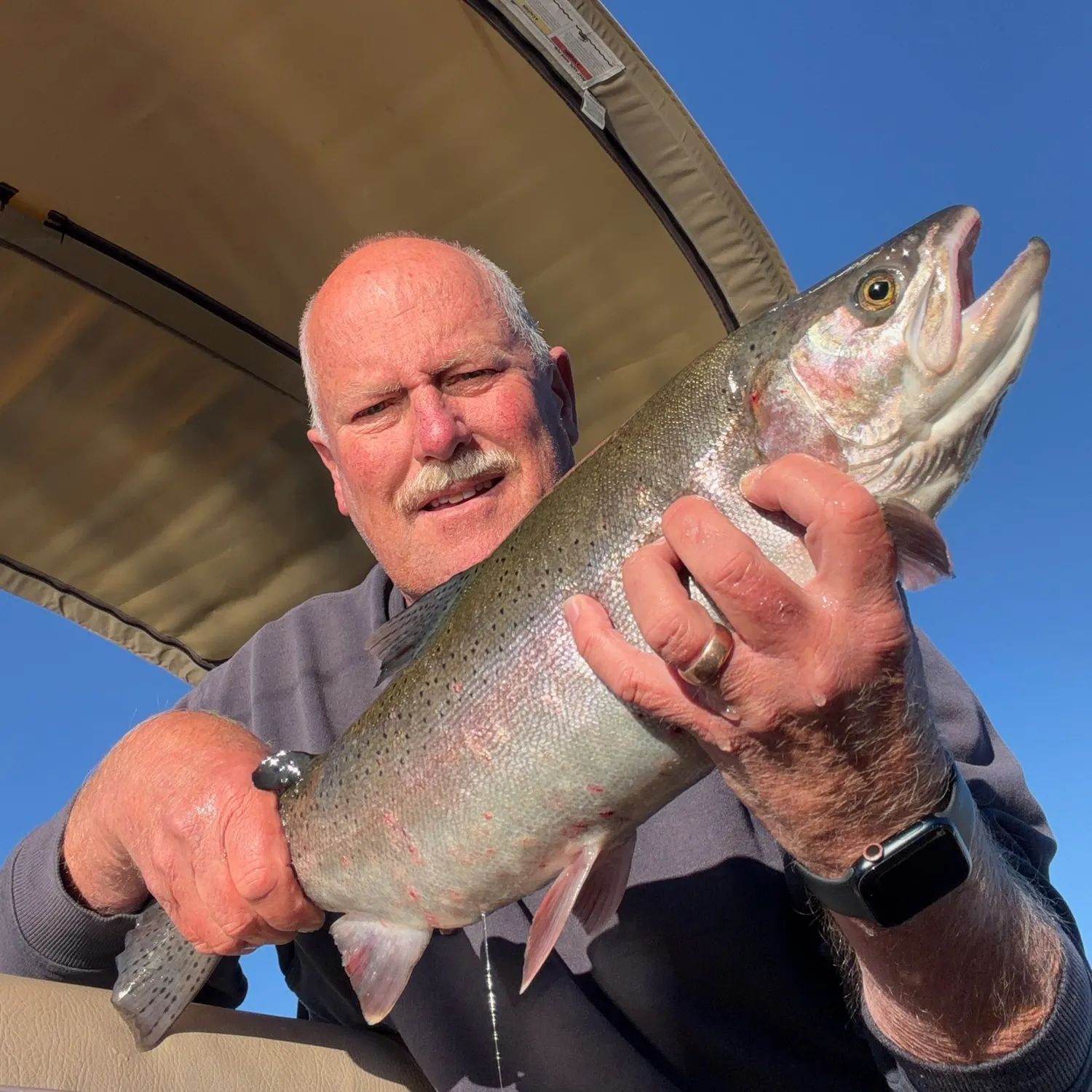 Rainbow trout caught on Fishbrain