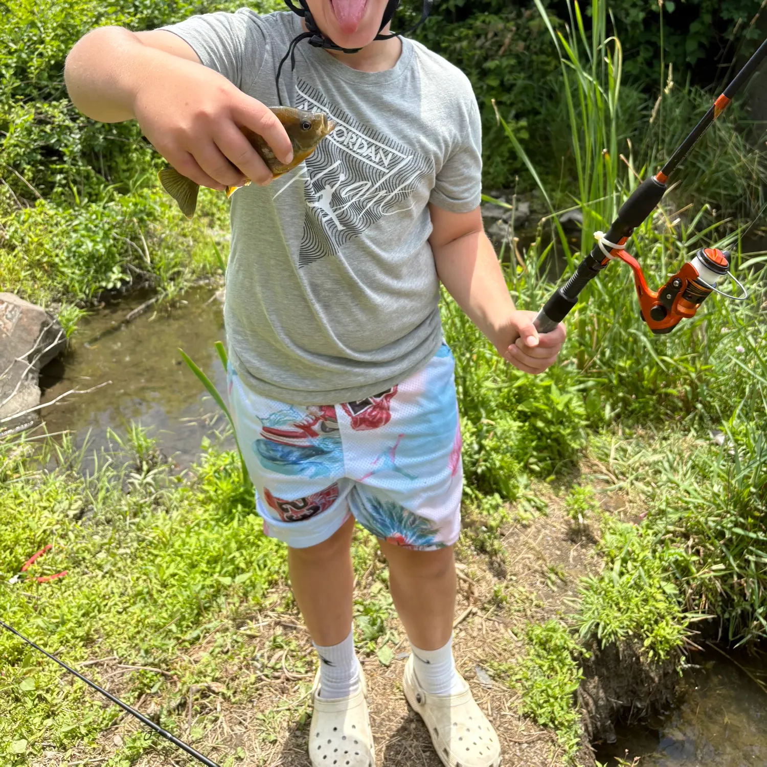 Bluegill caught on Fishbrain