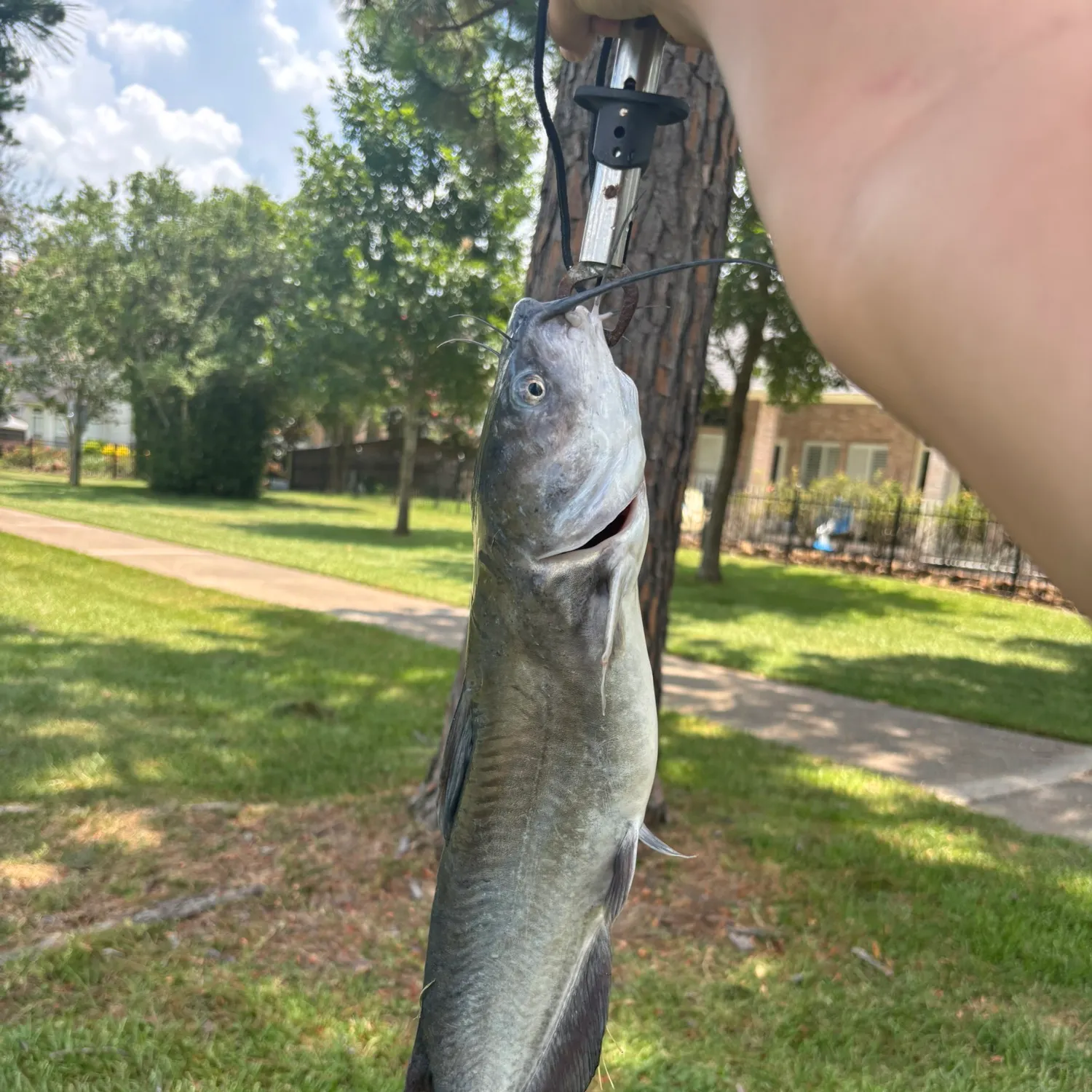 catch