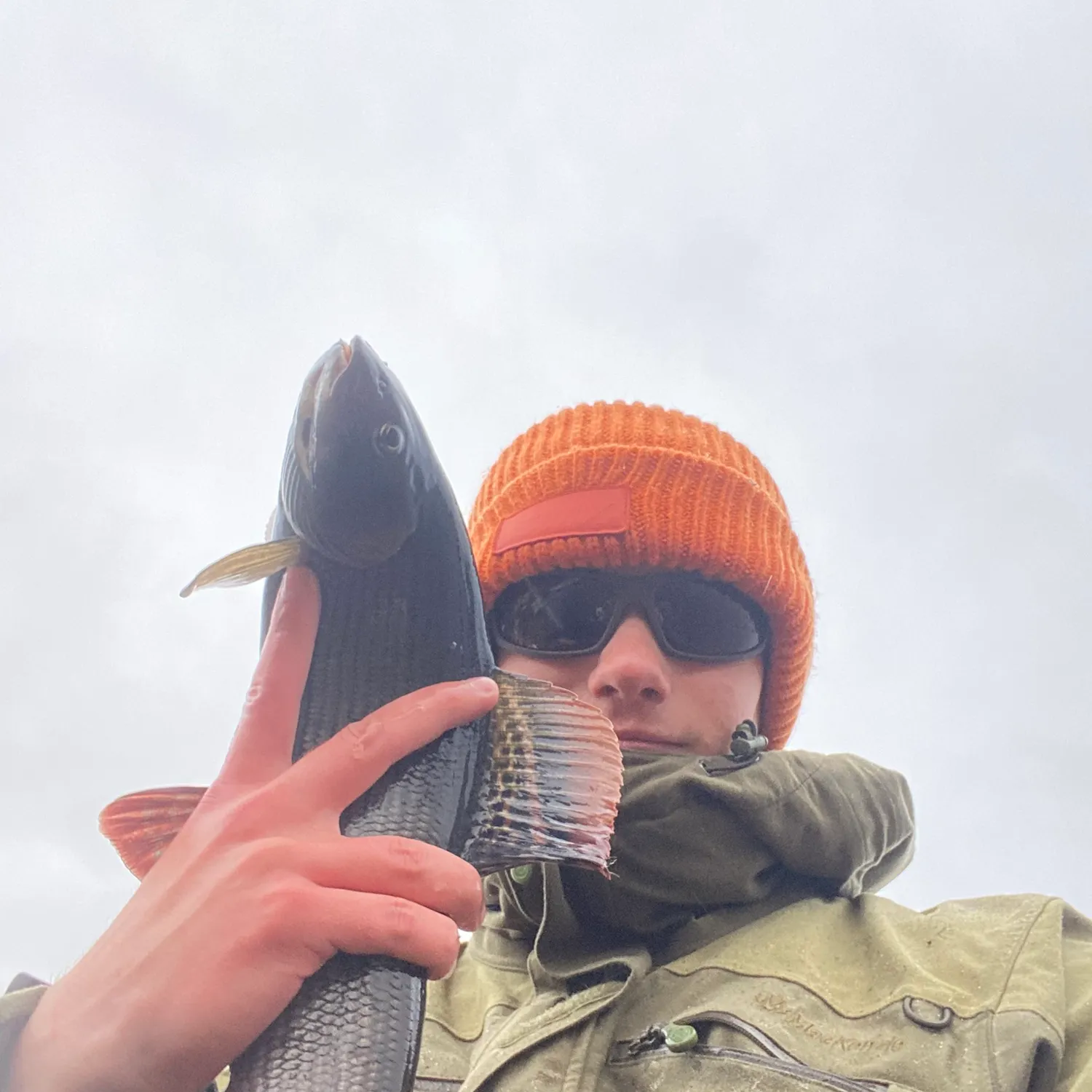 The most recent European grayling catches on Fishbrain