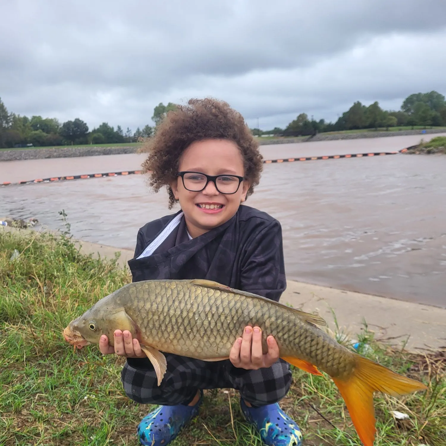 Common carp caught on Fishbrain
