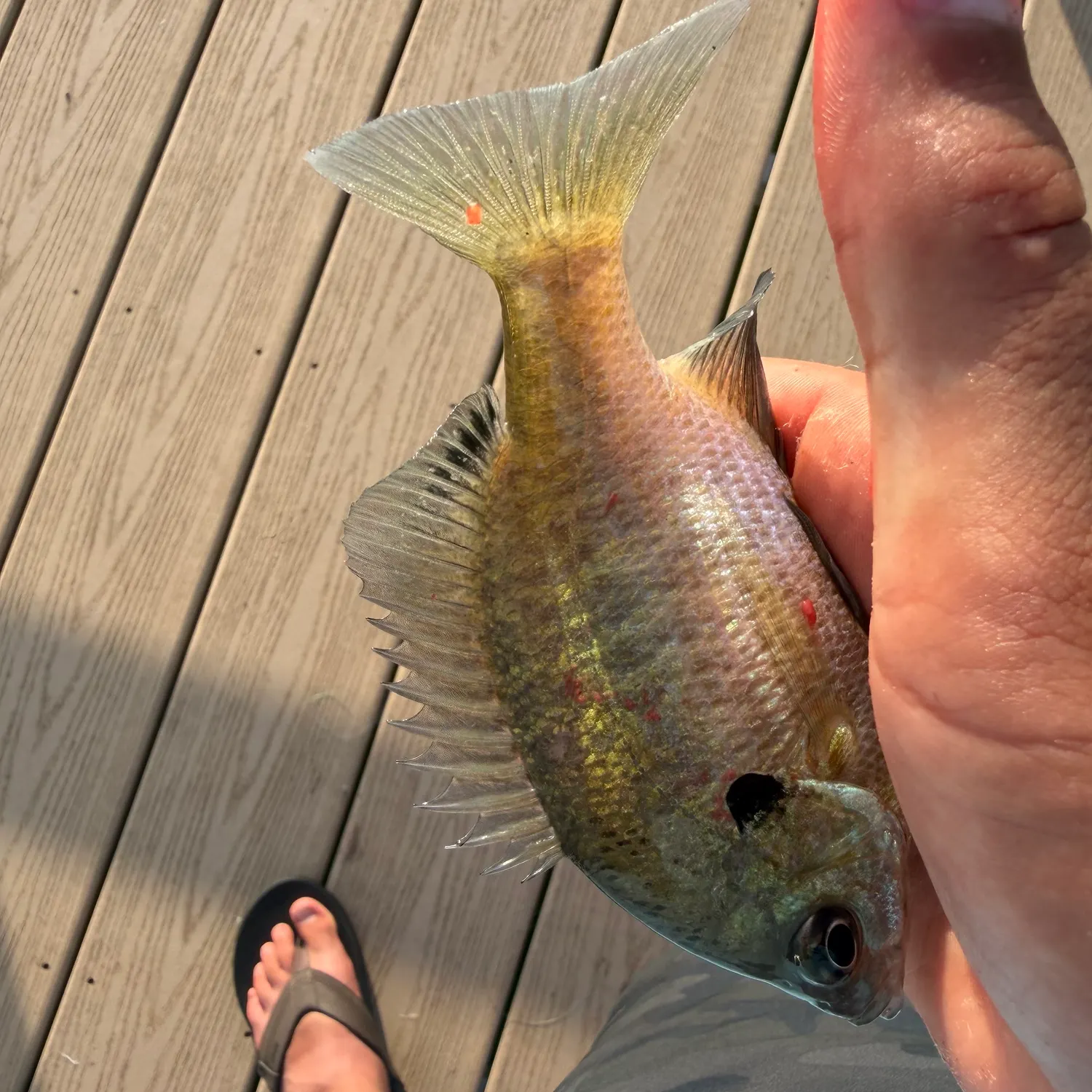 catch