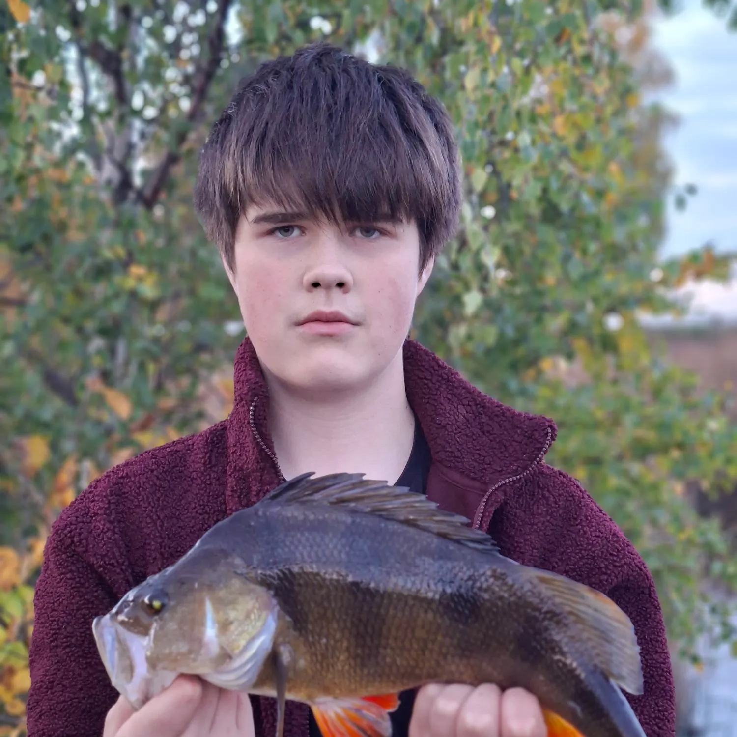 European perch caught on Fishbrain