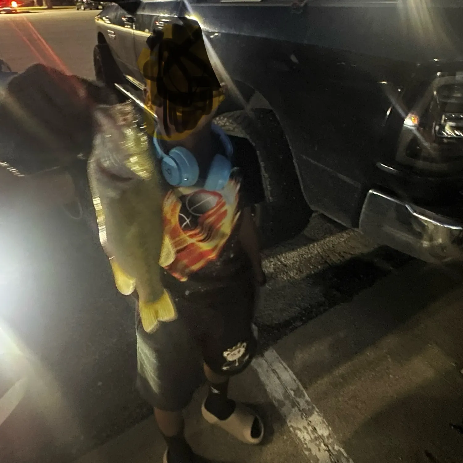 The most recent Largemouth bass catches on Fishbrain