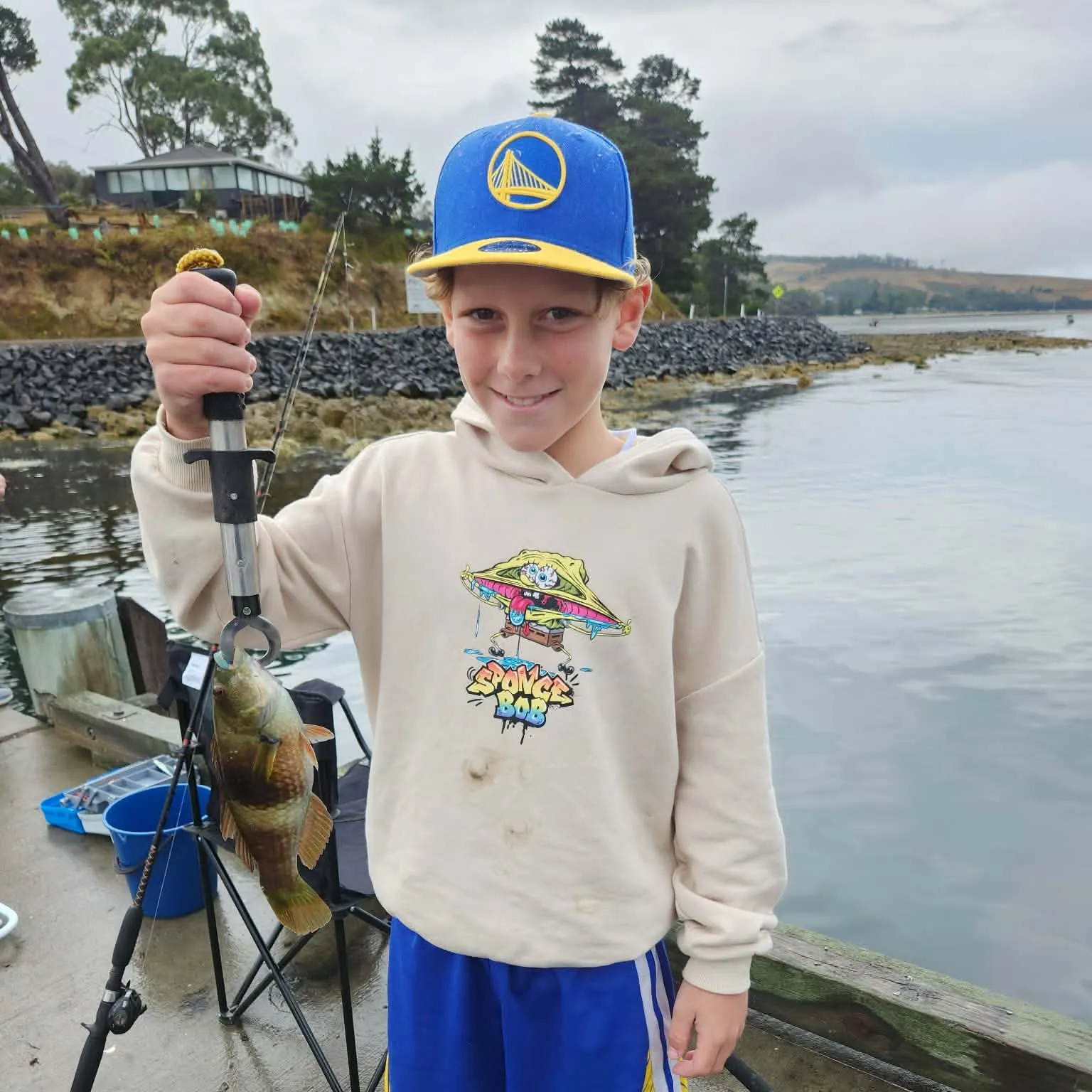 The most recent Blue-throated wrasse catches on Fishbrain
