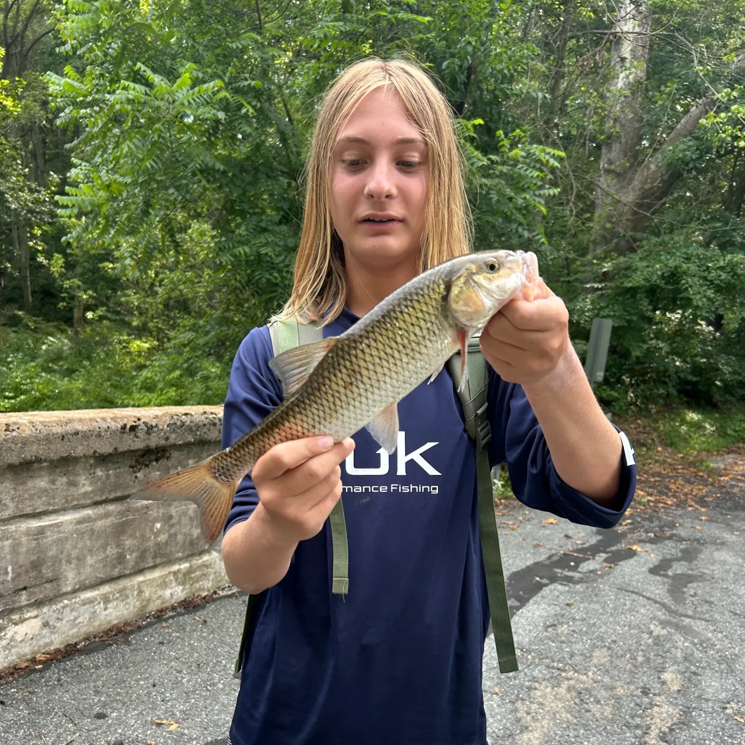 Fallfish caught on Fishbrain