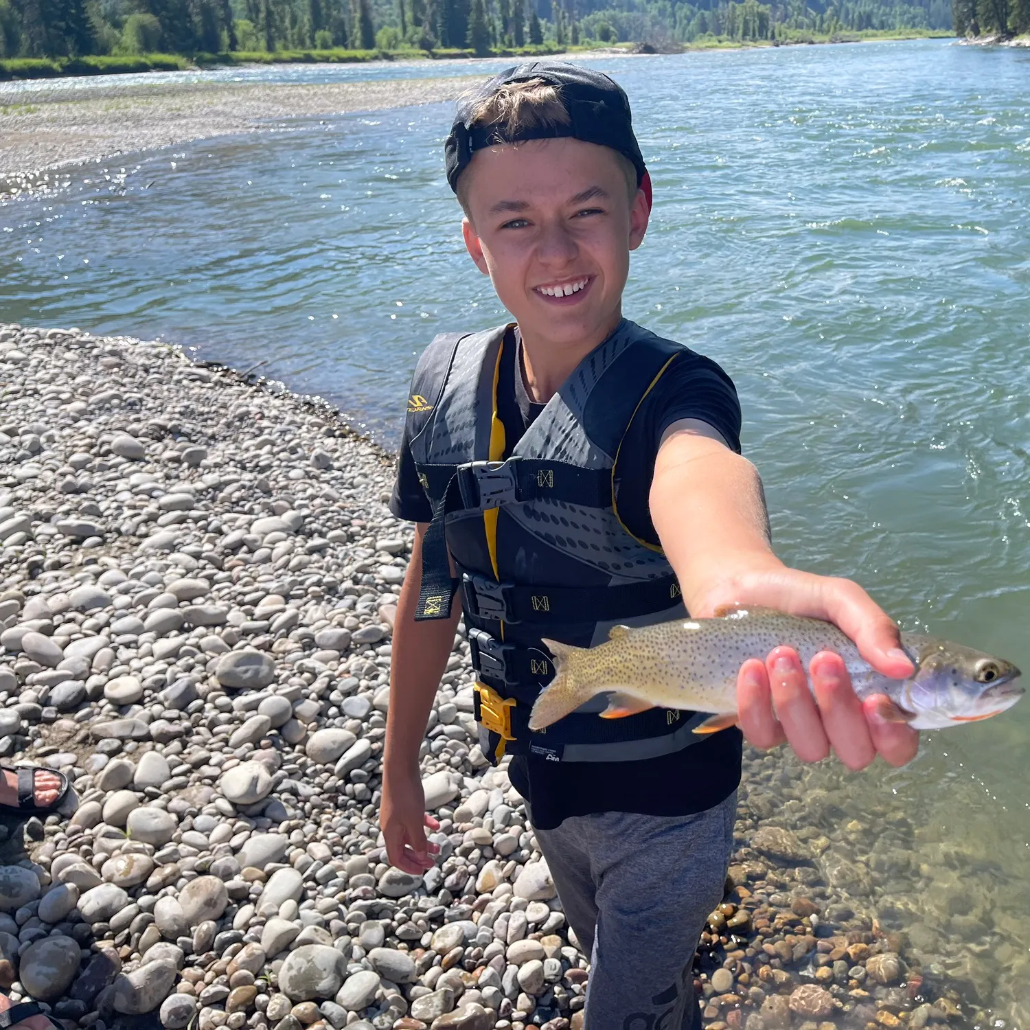 most liked catch image