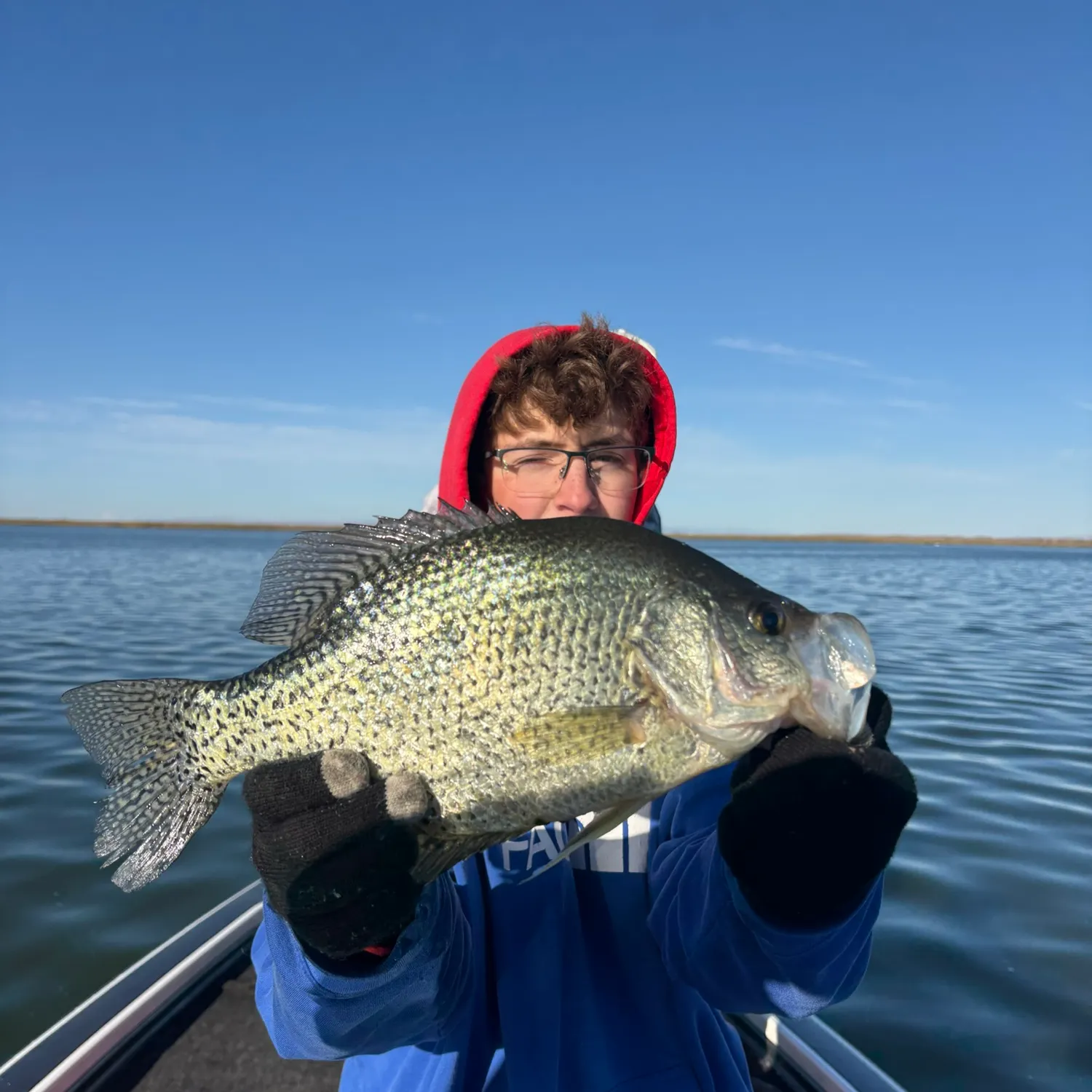 Black crappie caught on Fishbrain