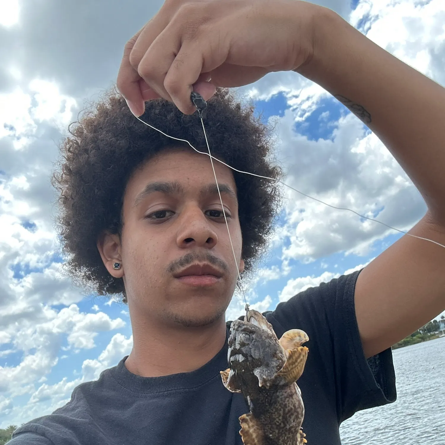 The most recent Gulf toadfish catches on Fishbrain