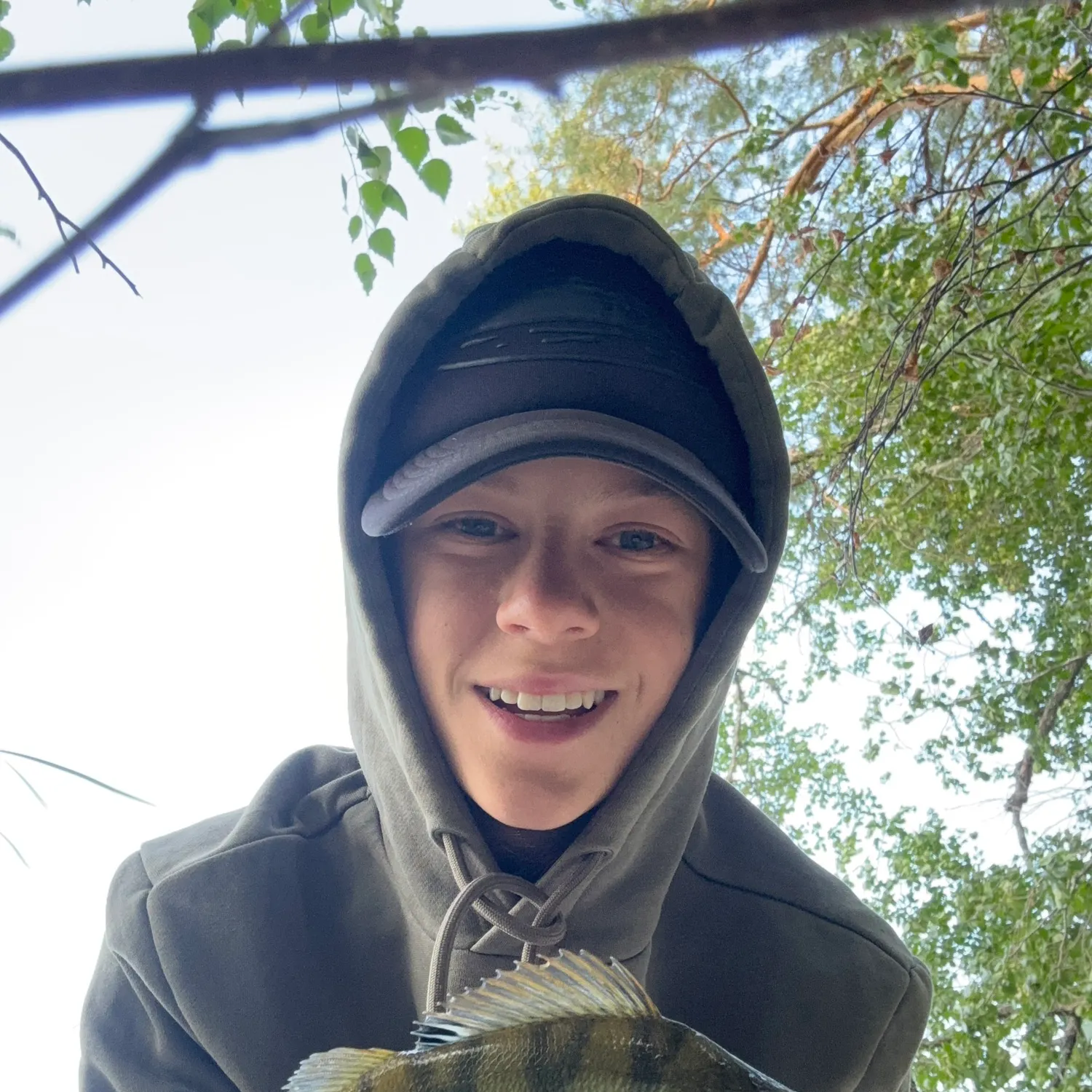 European perch caught on Fishbrain