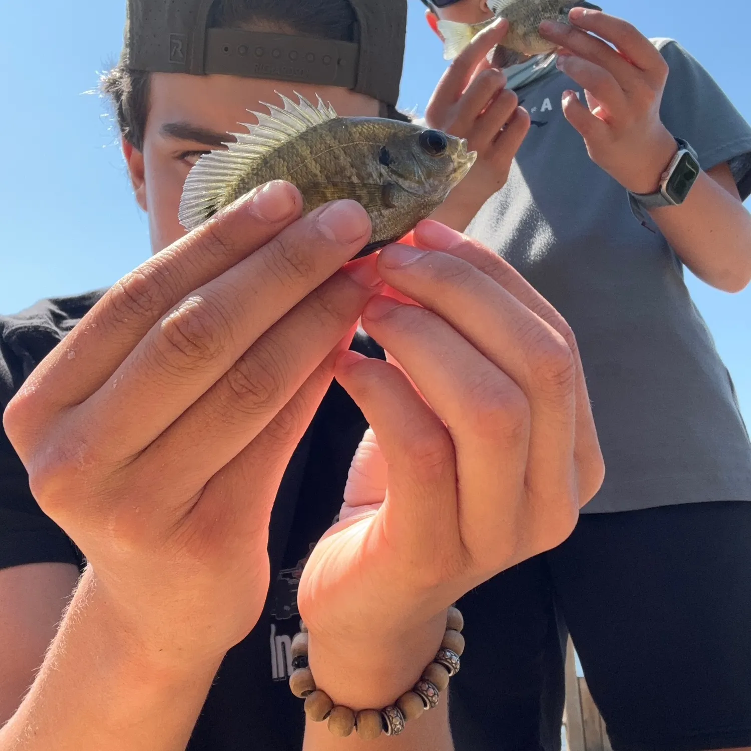 catch