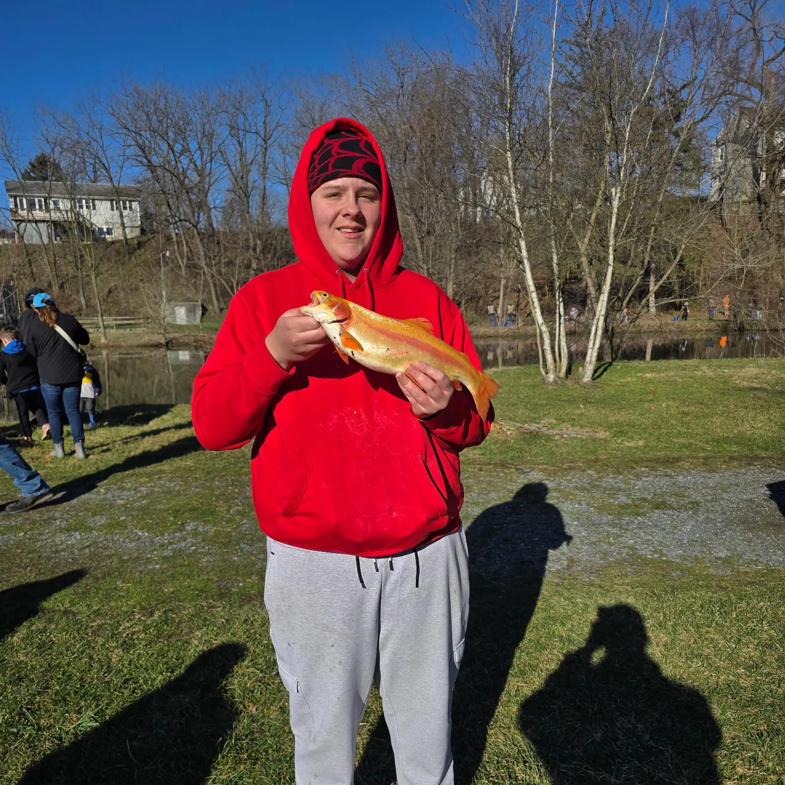 The most recent Golden rainbow trout catches on Fishbrain