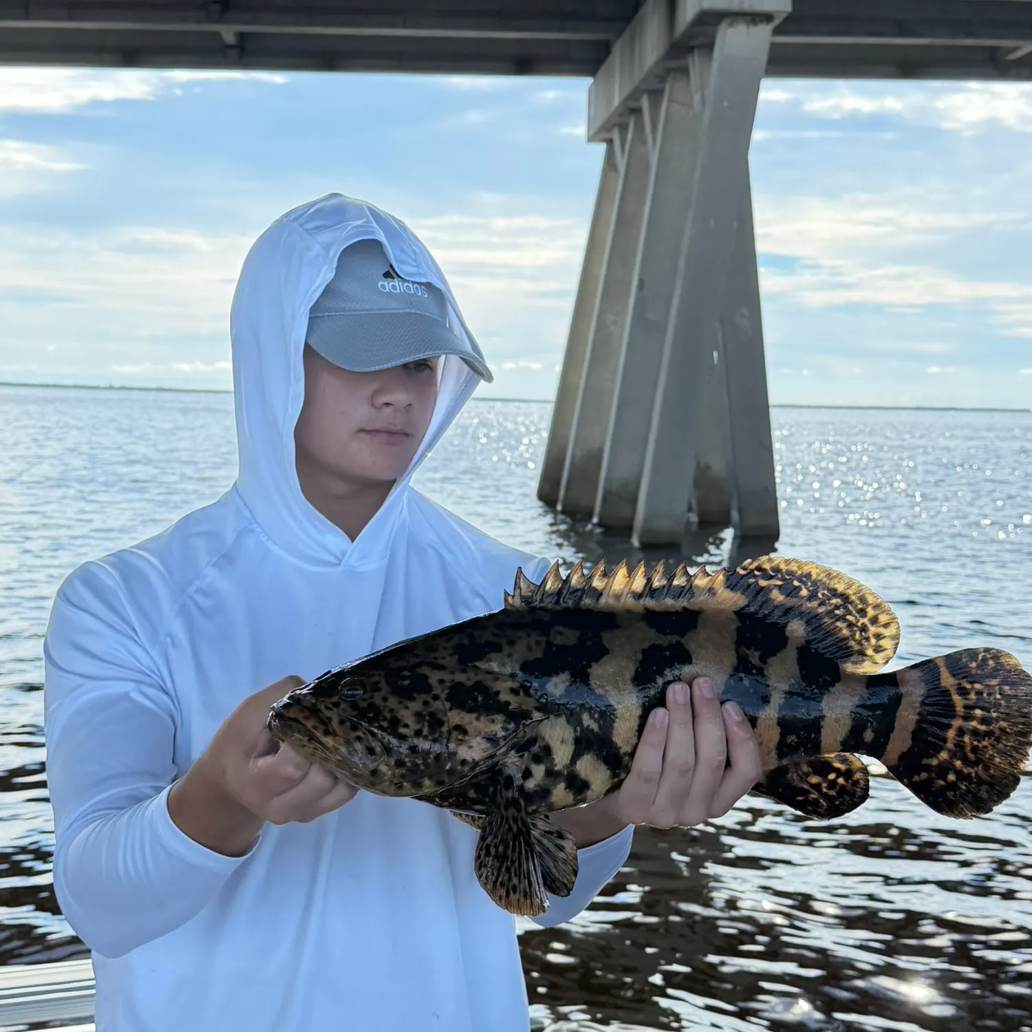 The most recent Pacific goliath grouper catches on Fishbrain