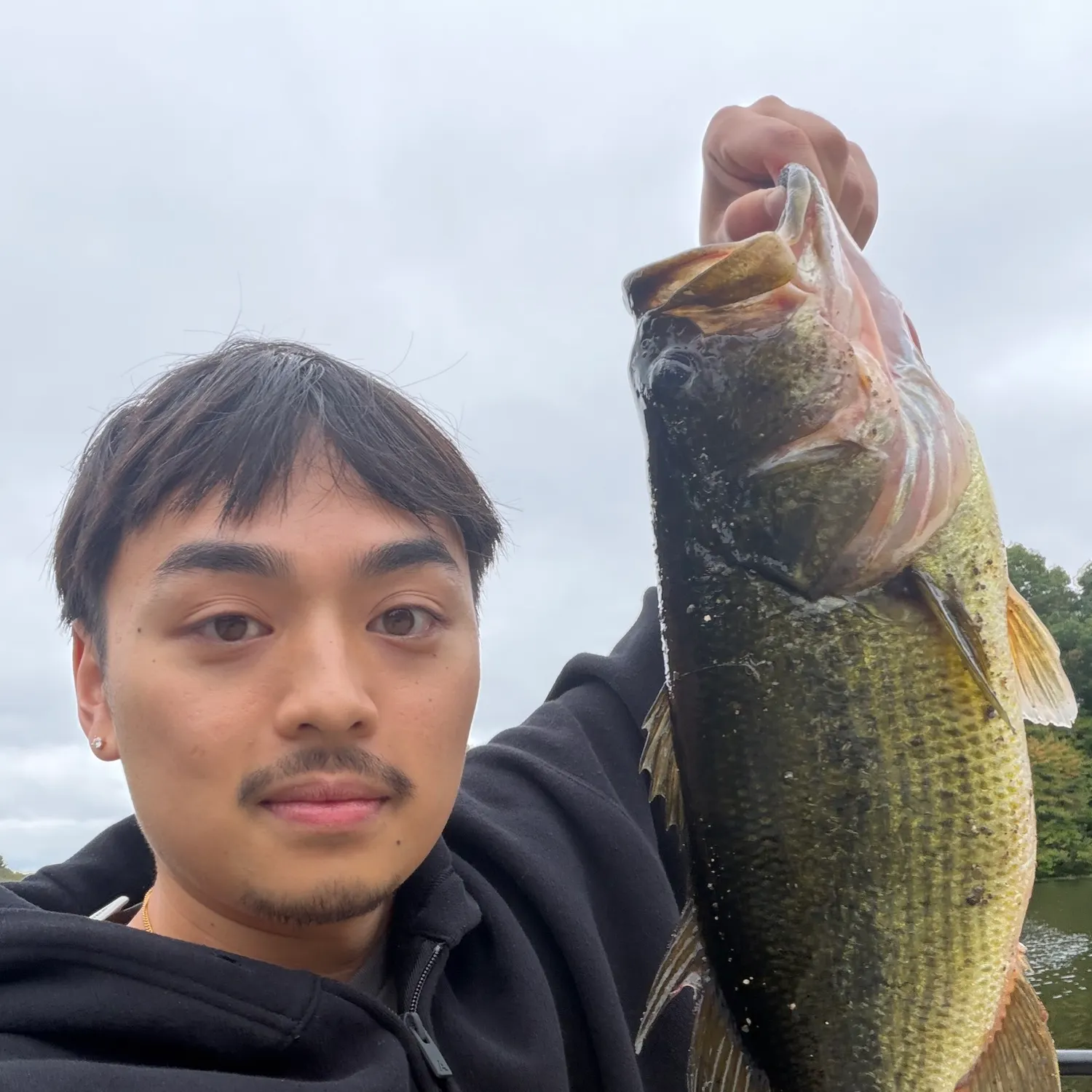 Largemouth bass caught on Fishbrain