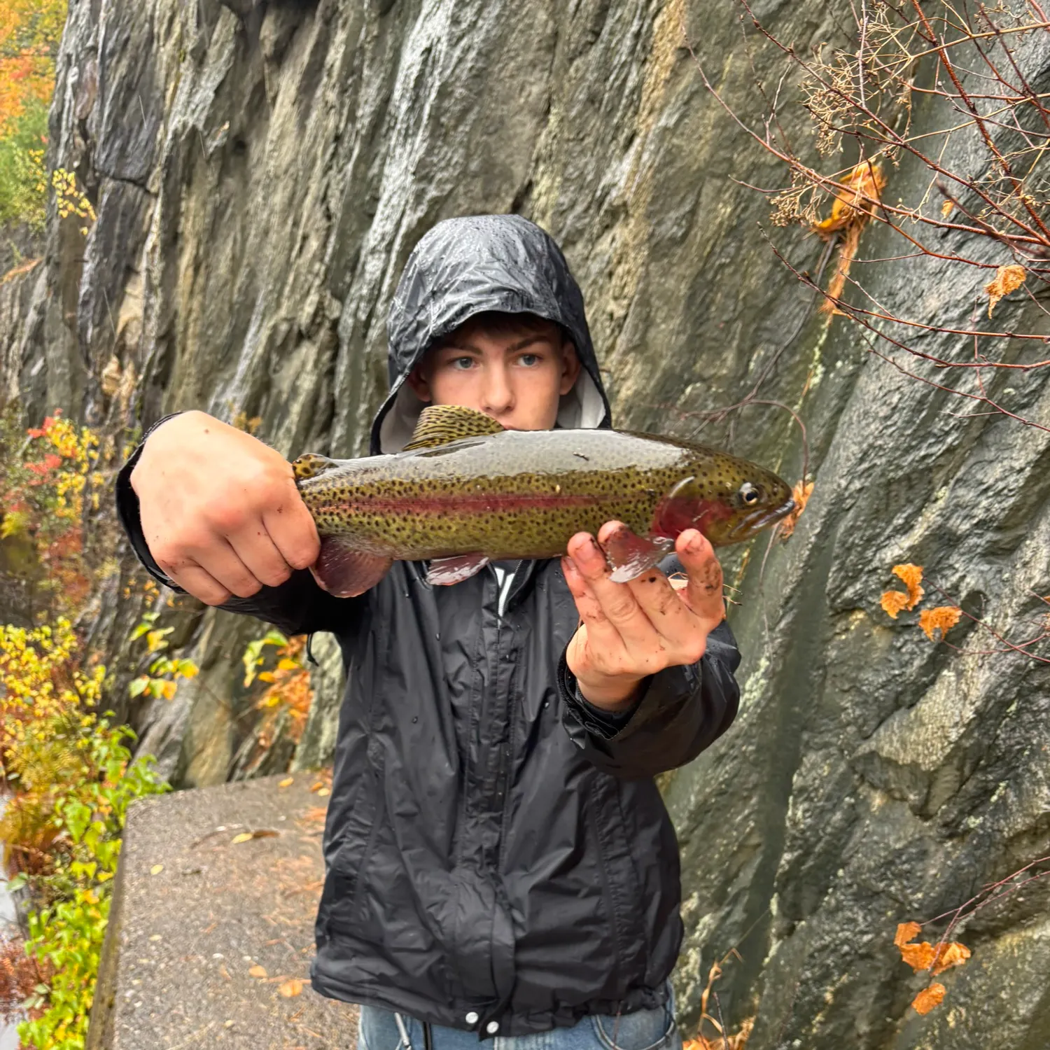 Rainbow trout caught on Fishbrain