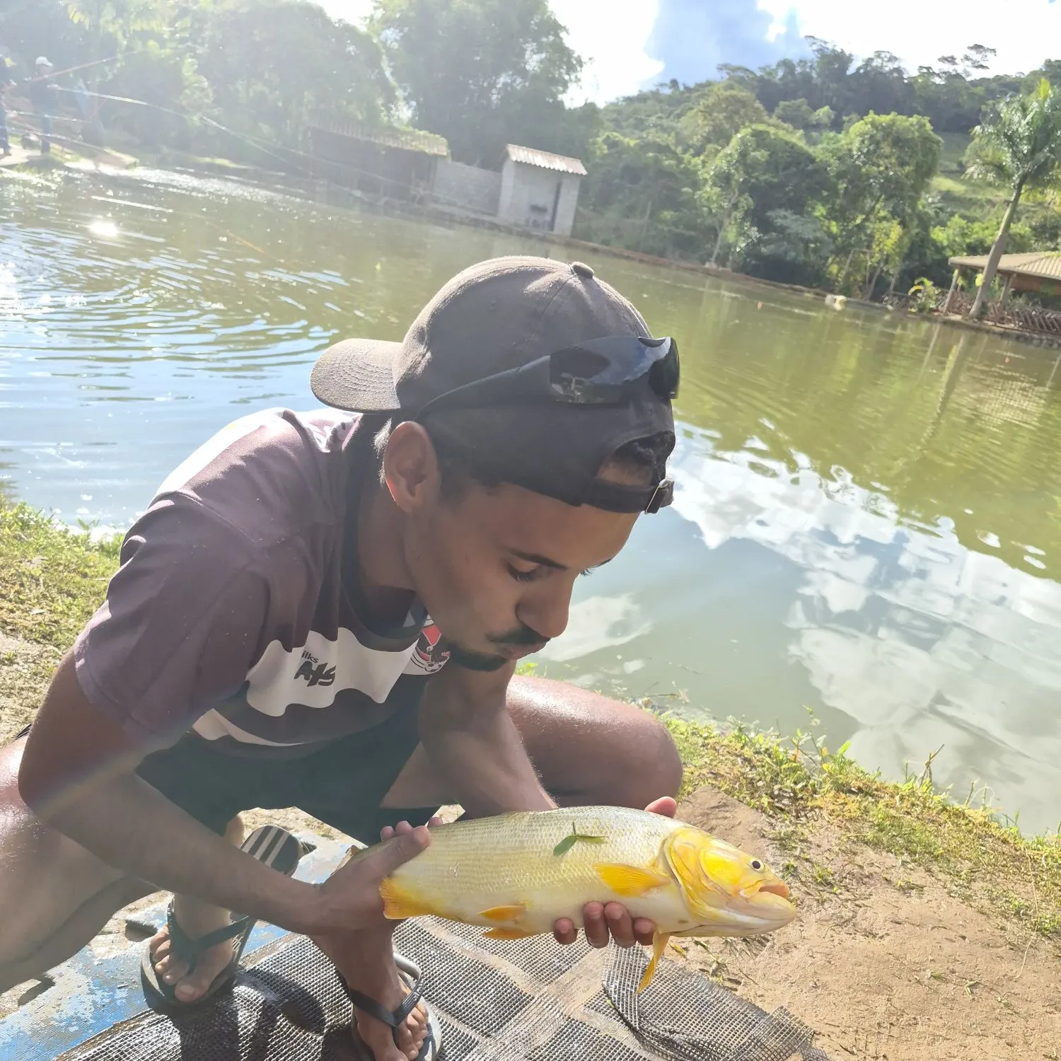 The most recent Golden dorado catches on Fishbrain