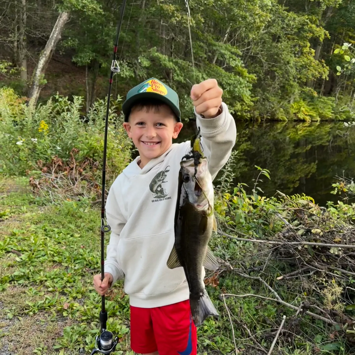 Largemouth bass caught on Fishbrain