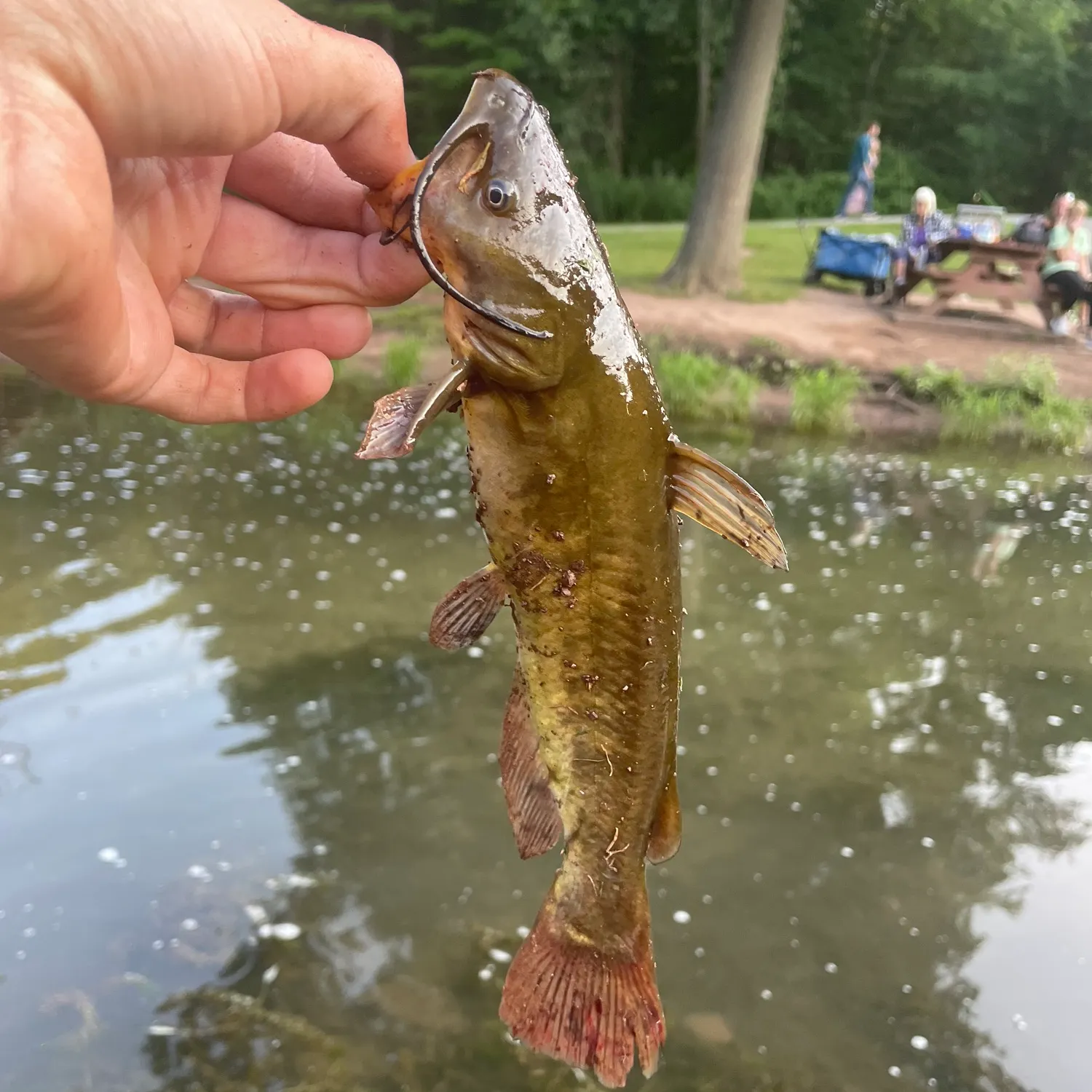catch
